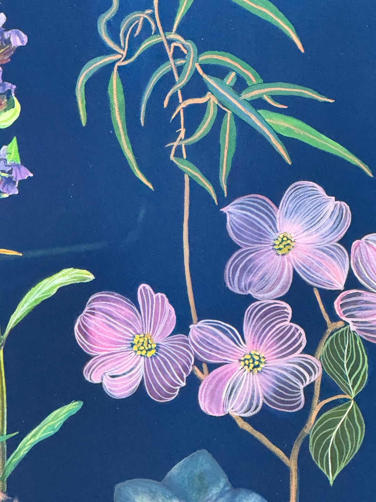 Julia Whitney Barnes, Picturesque Botany (Tulip, Magnolia, Dogwood, Foxglove, Crocus, Pollinators, etc.), 2025