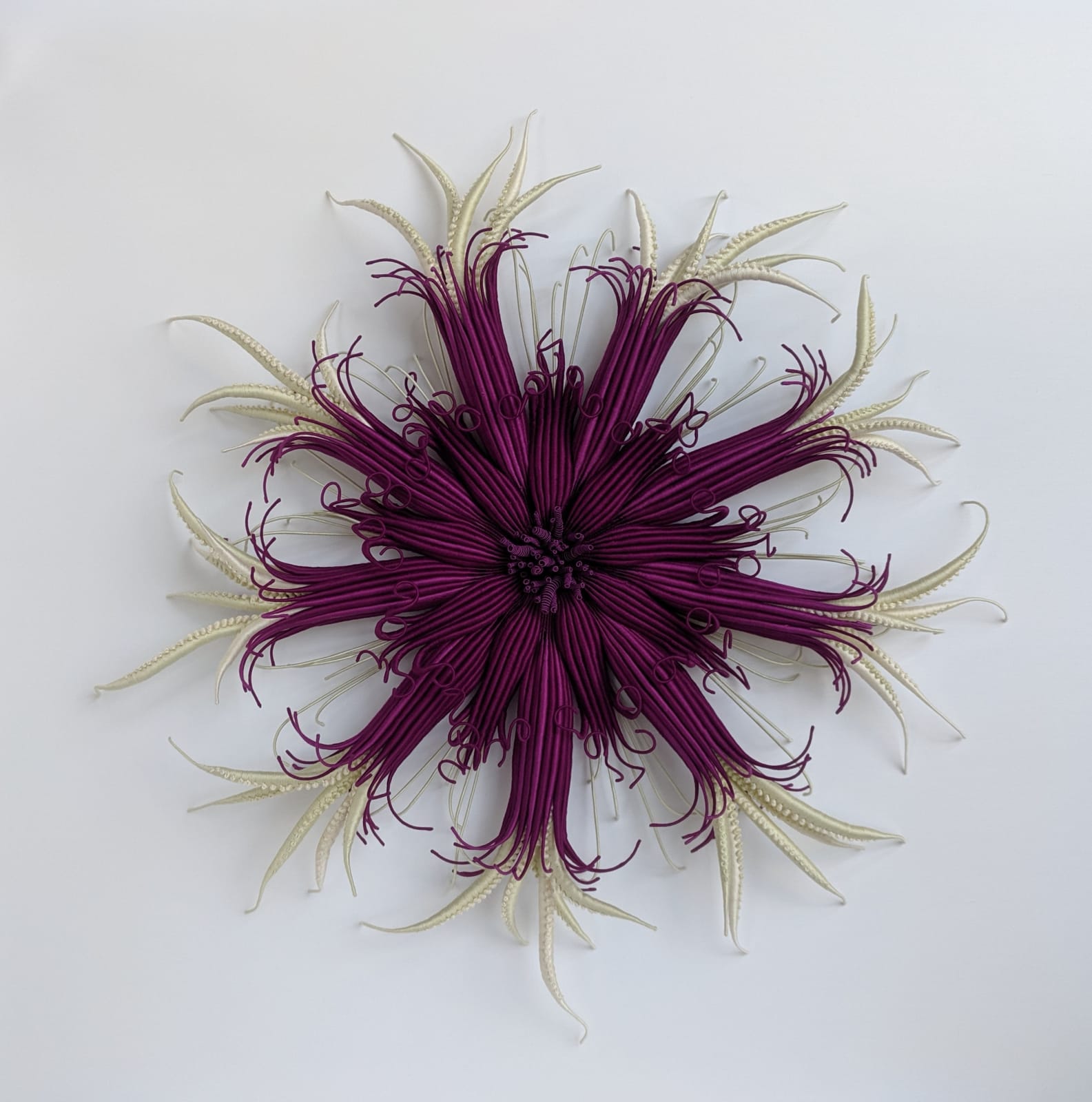 Catherine Latson, Specimen 16, 2019