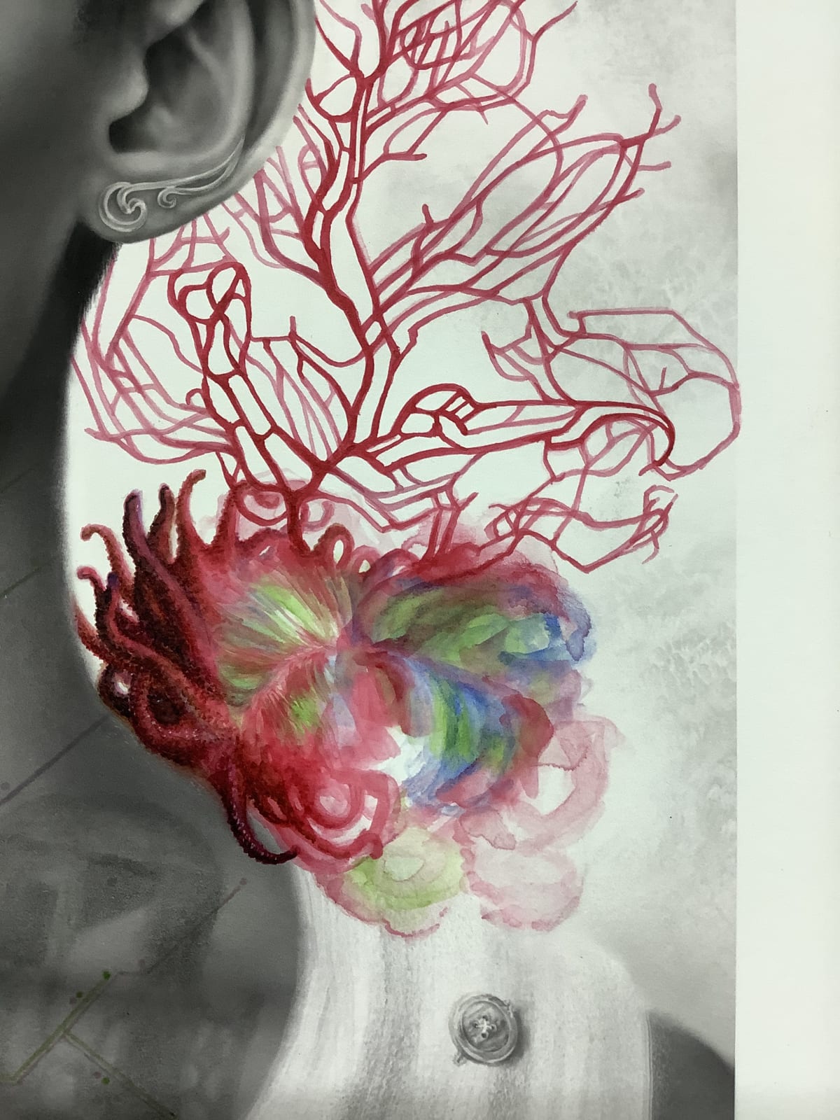 Francine Fox, Red Bird Reef, 2017