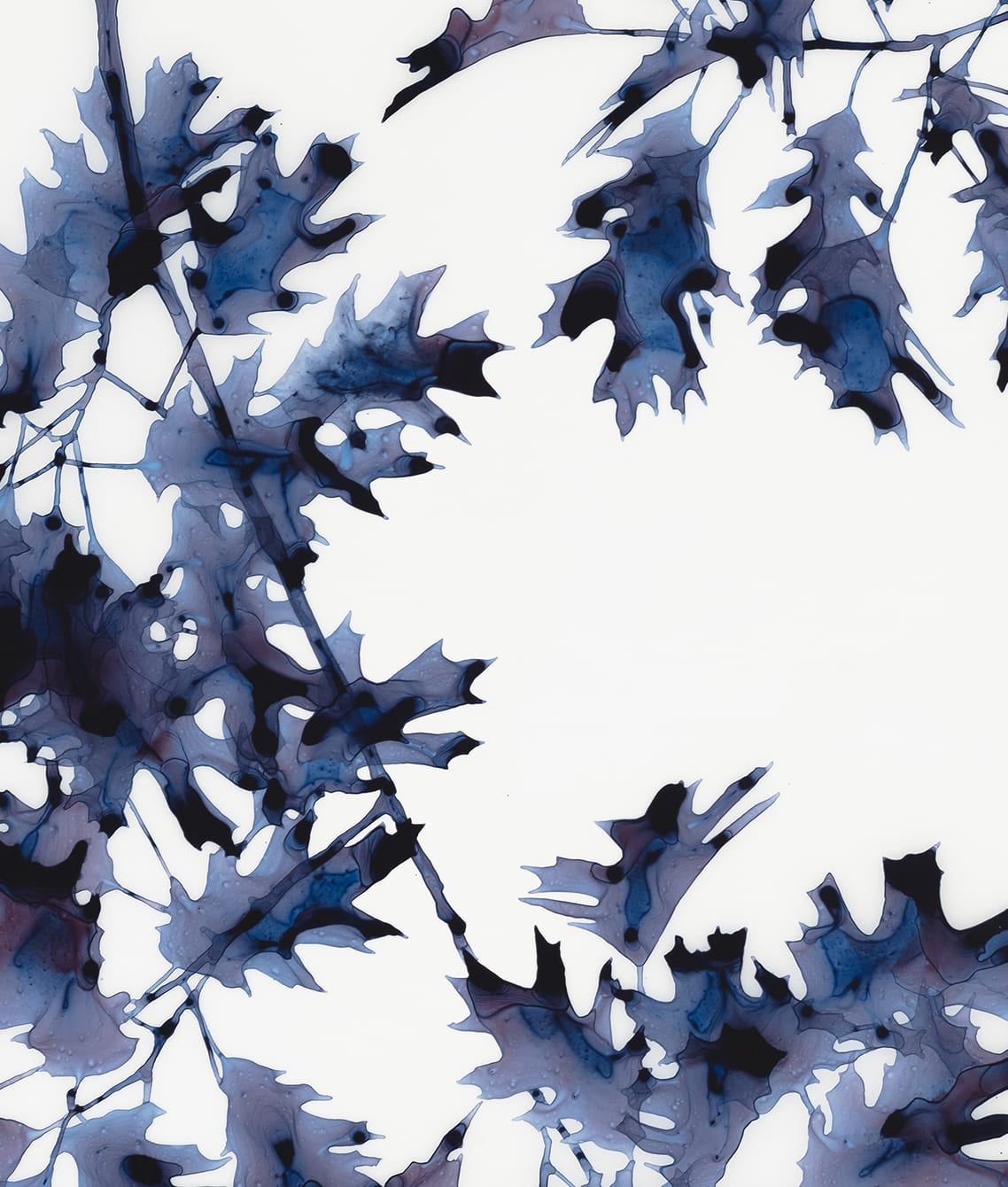 Jackie Battenfield, Briefly Shaded, 2019