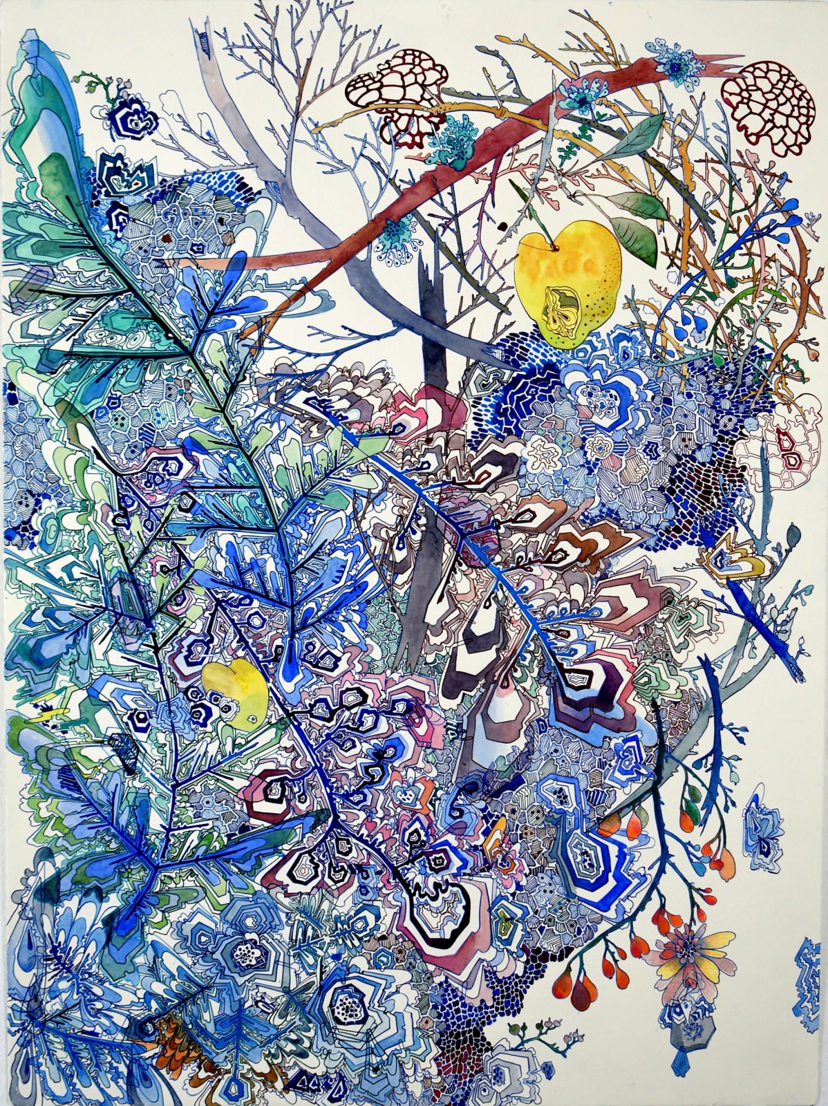 Sarah Morejohn, Apple in the Windfall, 2024