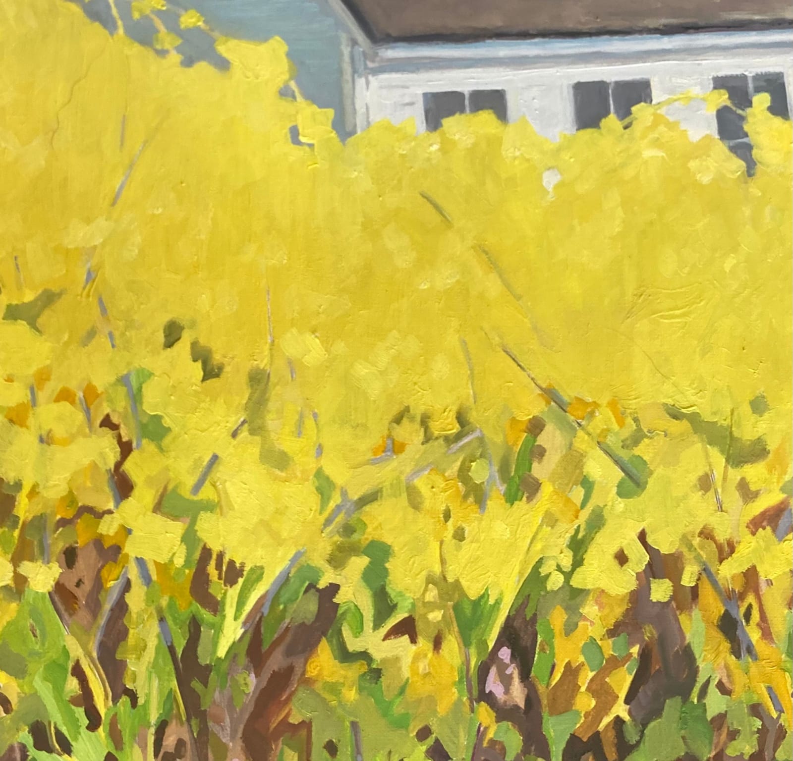 KK Kozik, Forsythia, 2022