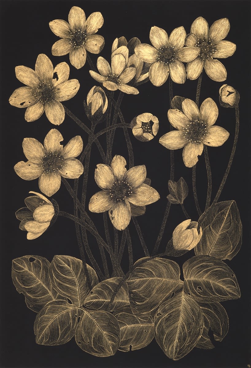 Margot Glass, Wild Anemone, 2024