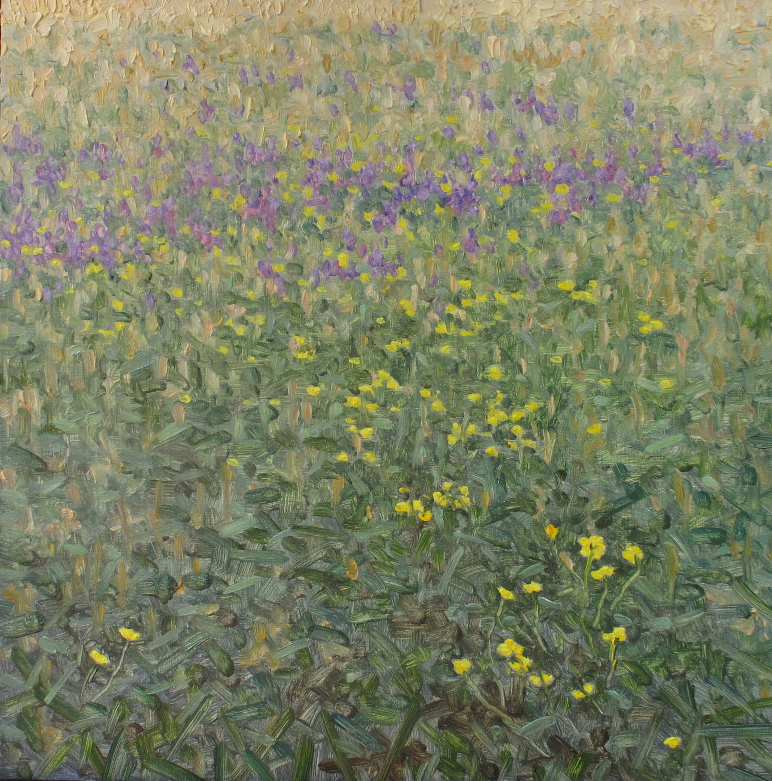 Thomas Sarrantonio, Contribution, 2018