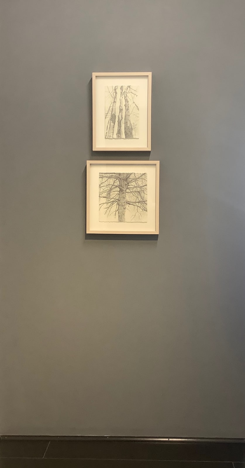 Amy Talluto, Parking Lot Tree in Winter, 2018