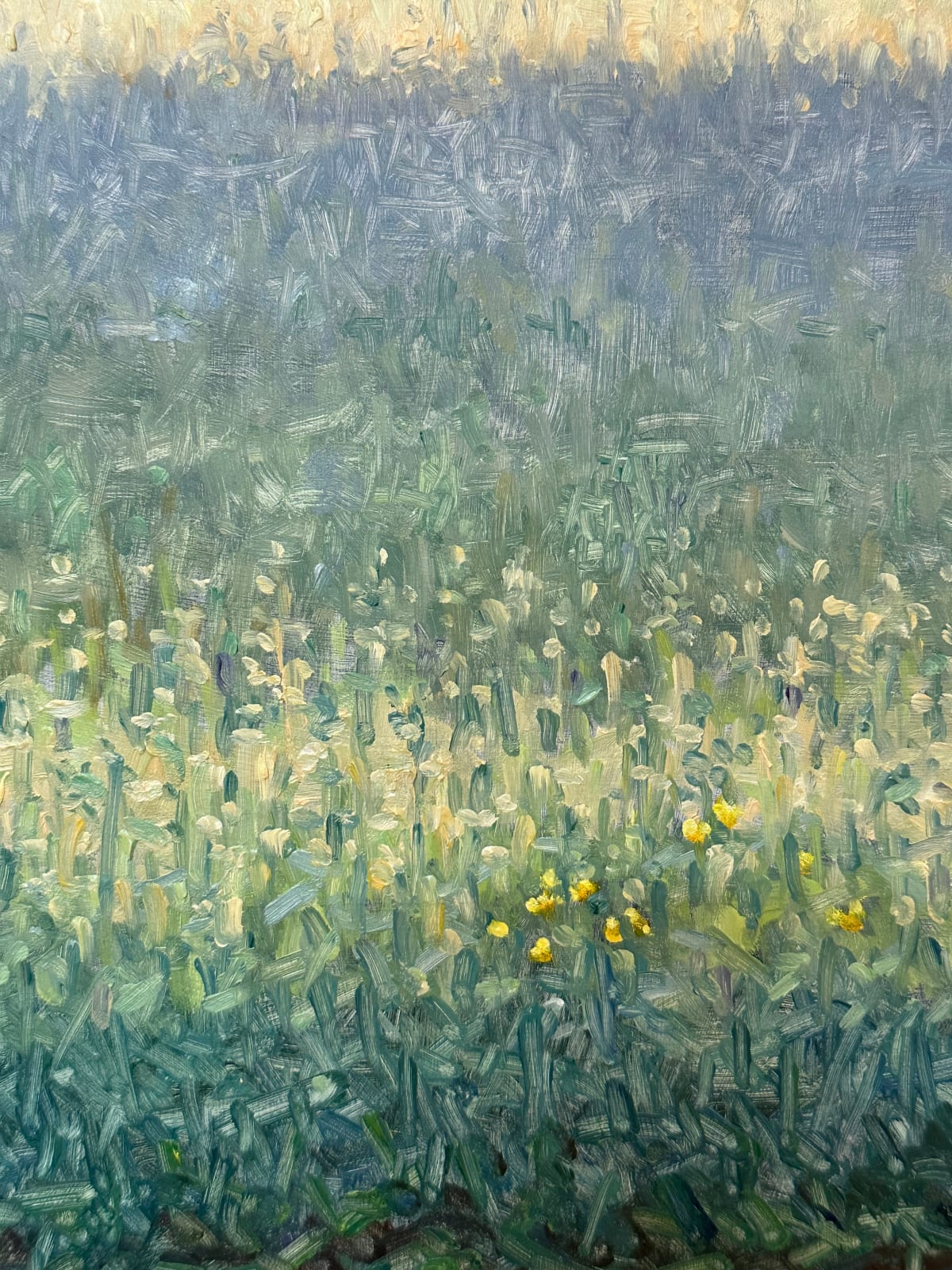 Thomas Sarrantonio, Field Painting June 19, 2023