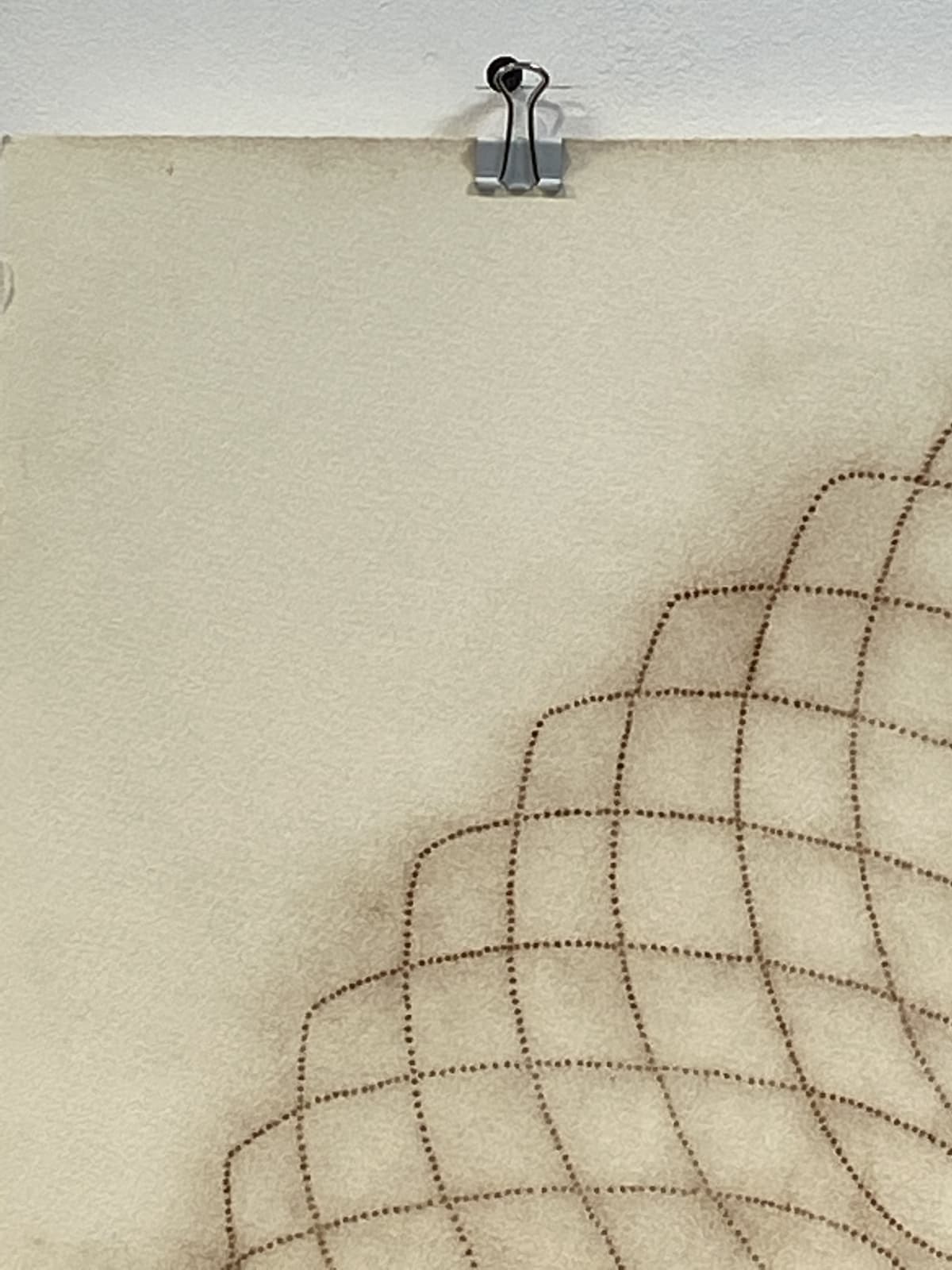 Mary Judge, Exotic Hex Series, 12/3, 2006