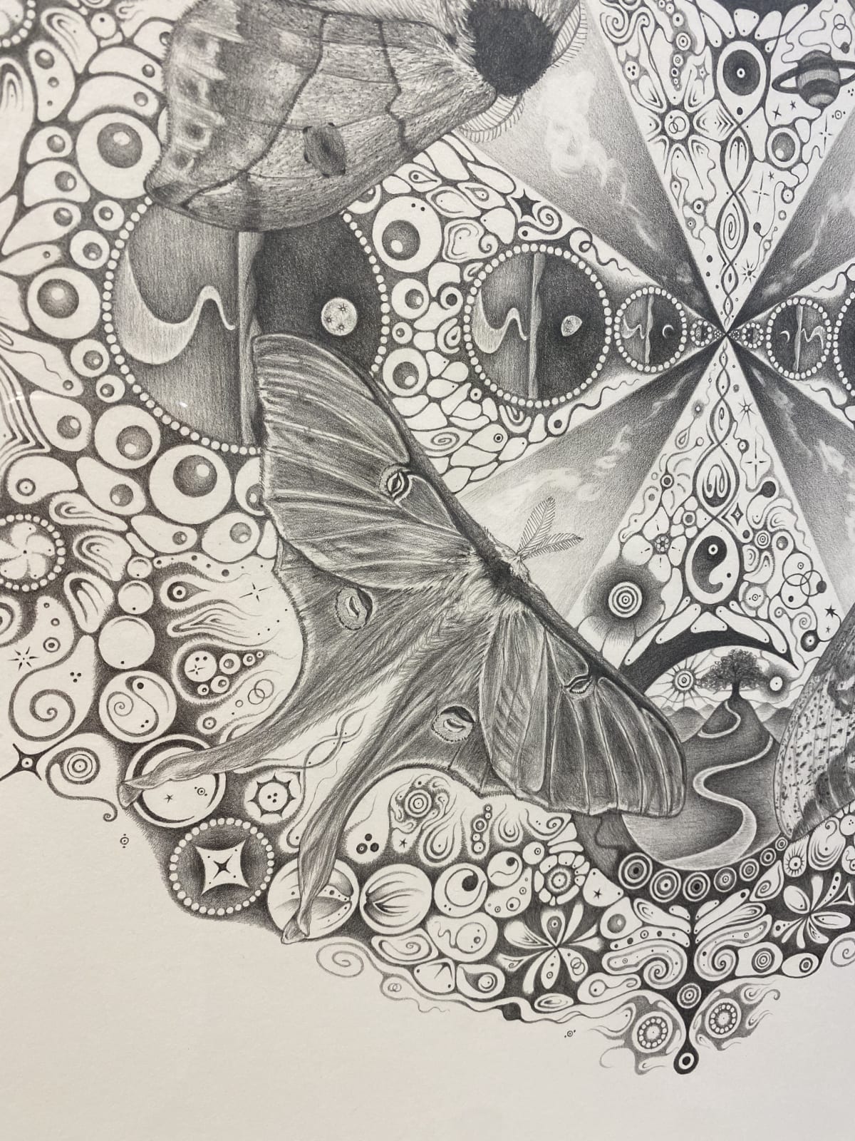 Michiyo Ihara, Snowflakes #139 "Companions", 2015