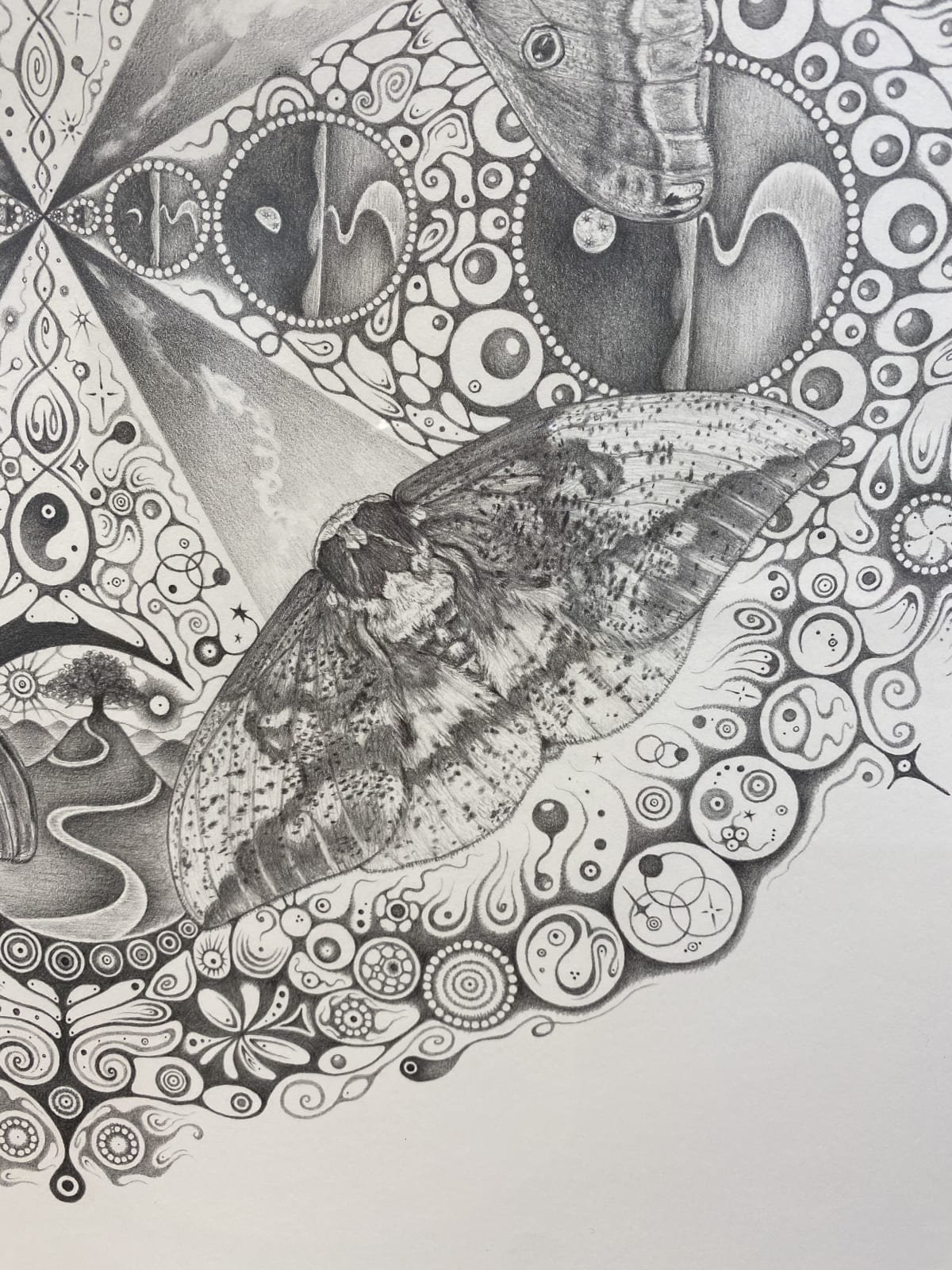 Michiyo Ihara, Snowflakes #139 "Companions", 2015