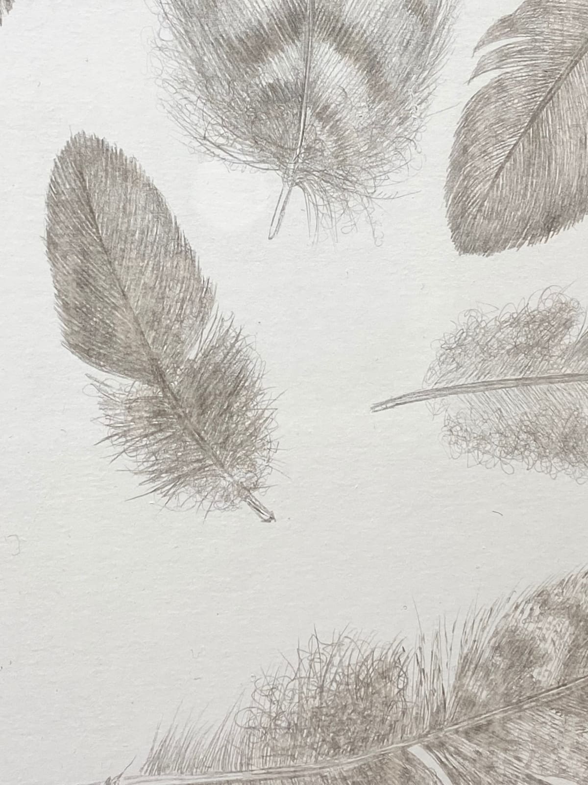 Margot Glass, Feather Group 1, 2021