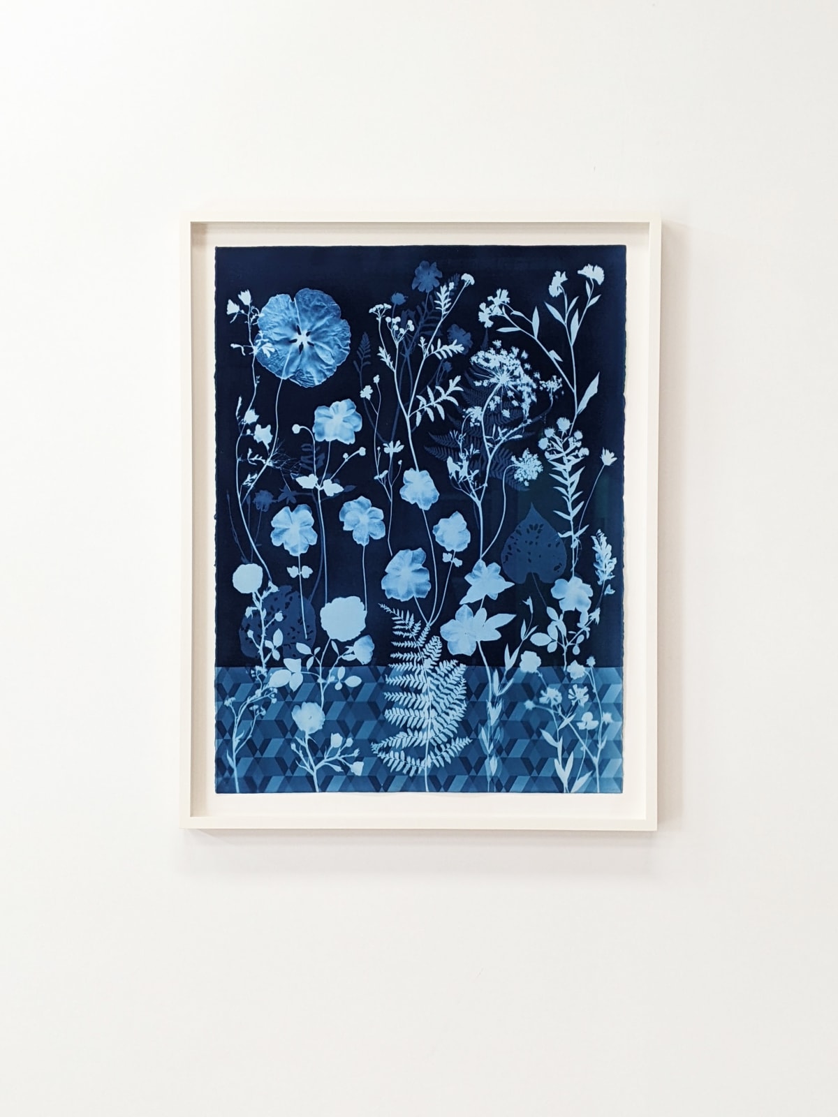 Julia Whitney Barnes, Cyanotype Painting (Anemones, Rose of Sharon, Queen Anne's Lace, Floor Pattern), 2021
