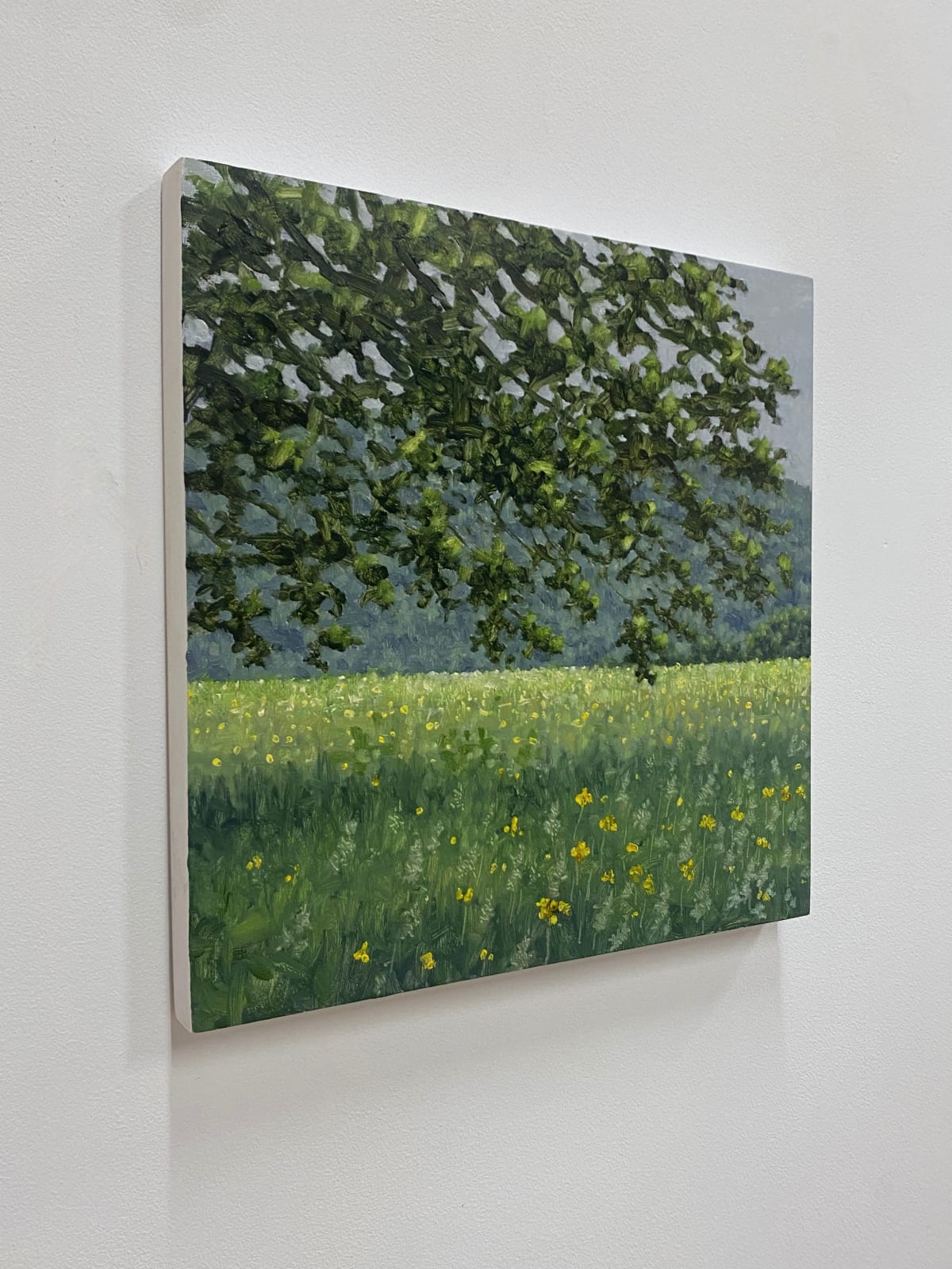Thomas Sarrantonio, Field Painting June 4, 2021