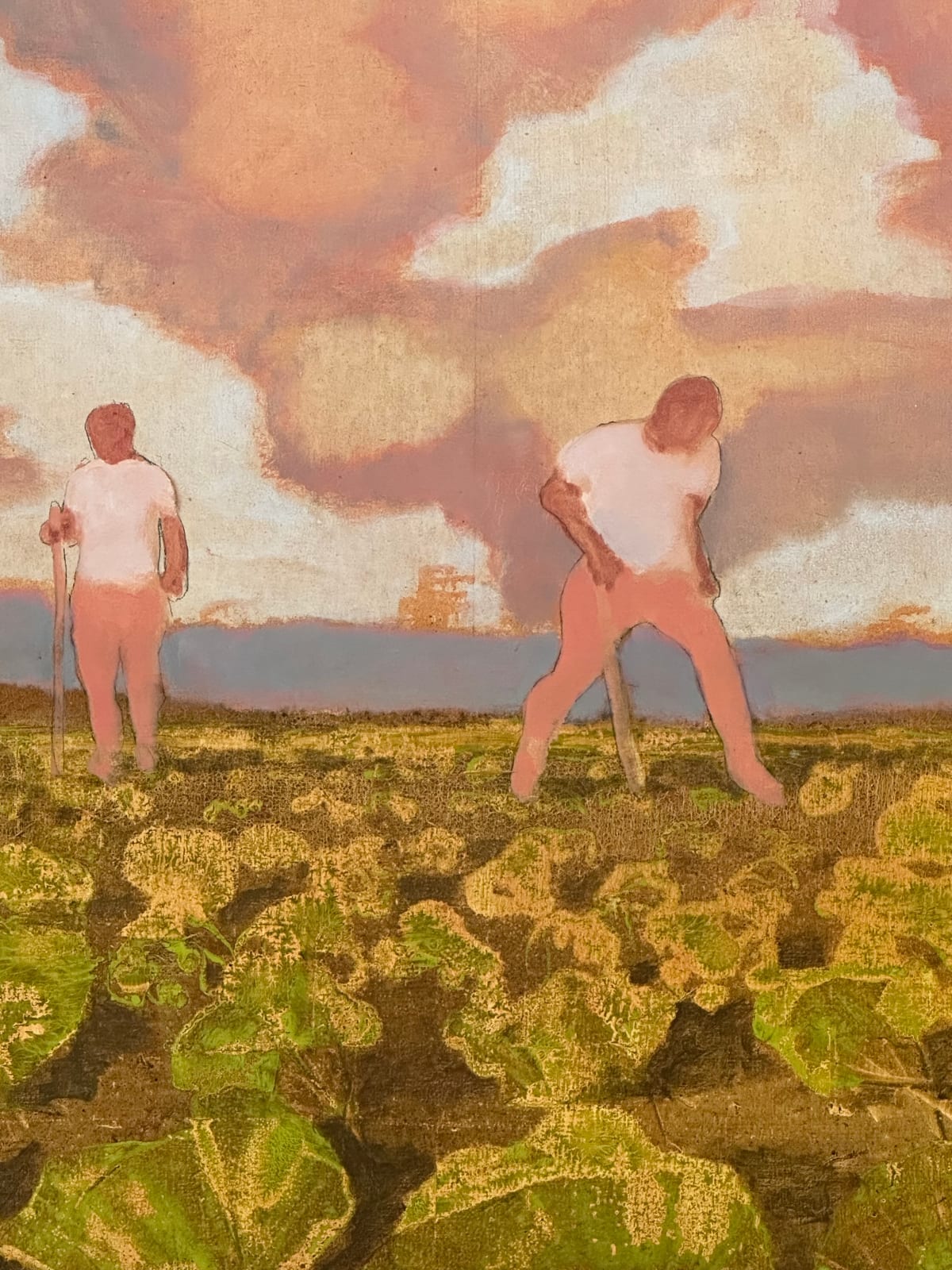 David Konigsberg, Cabbage Field, 2023