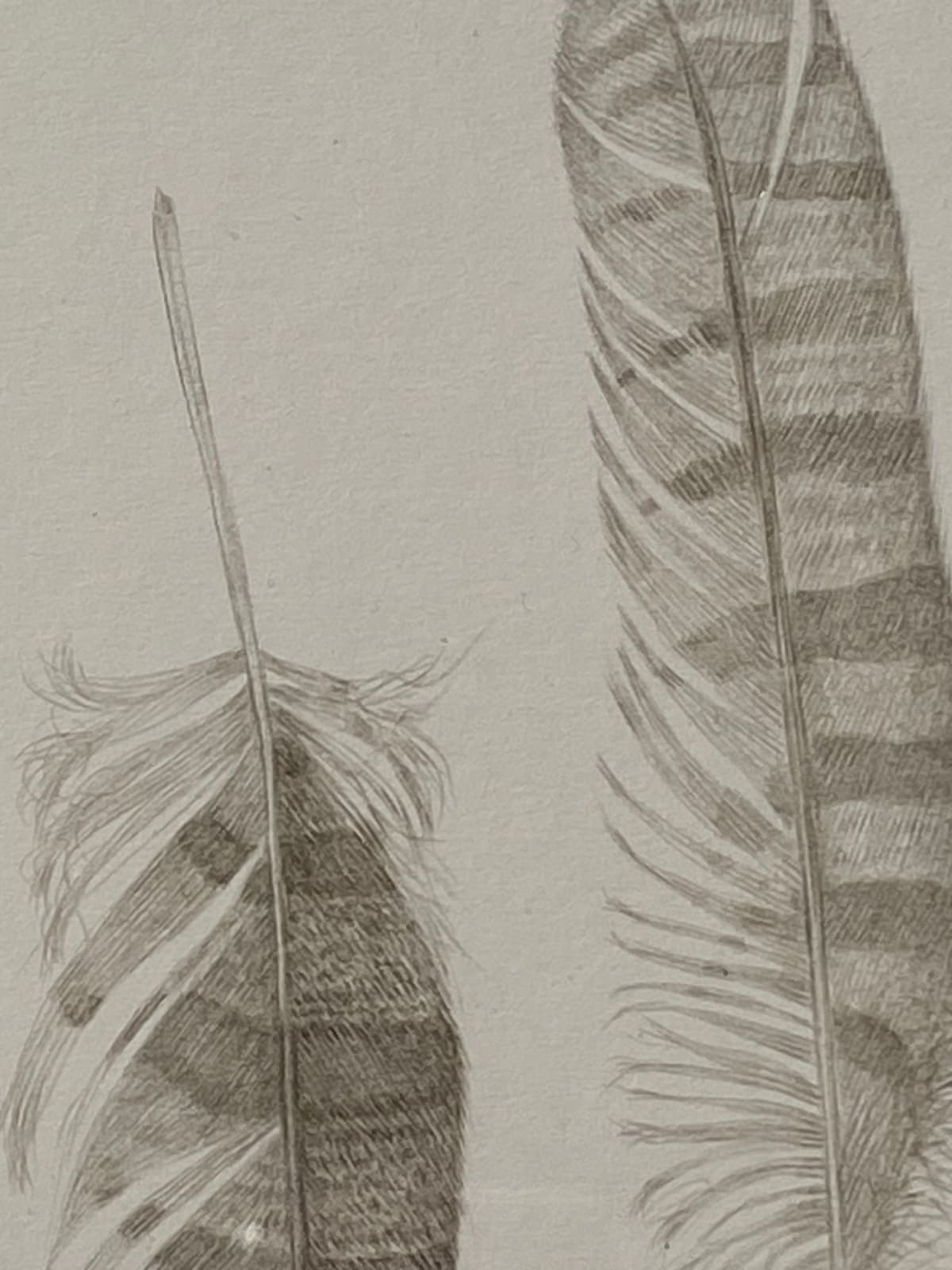 Margot Glass, Feather Group 2, 2021