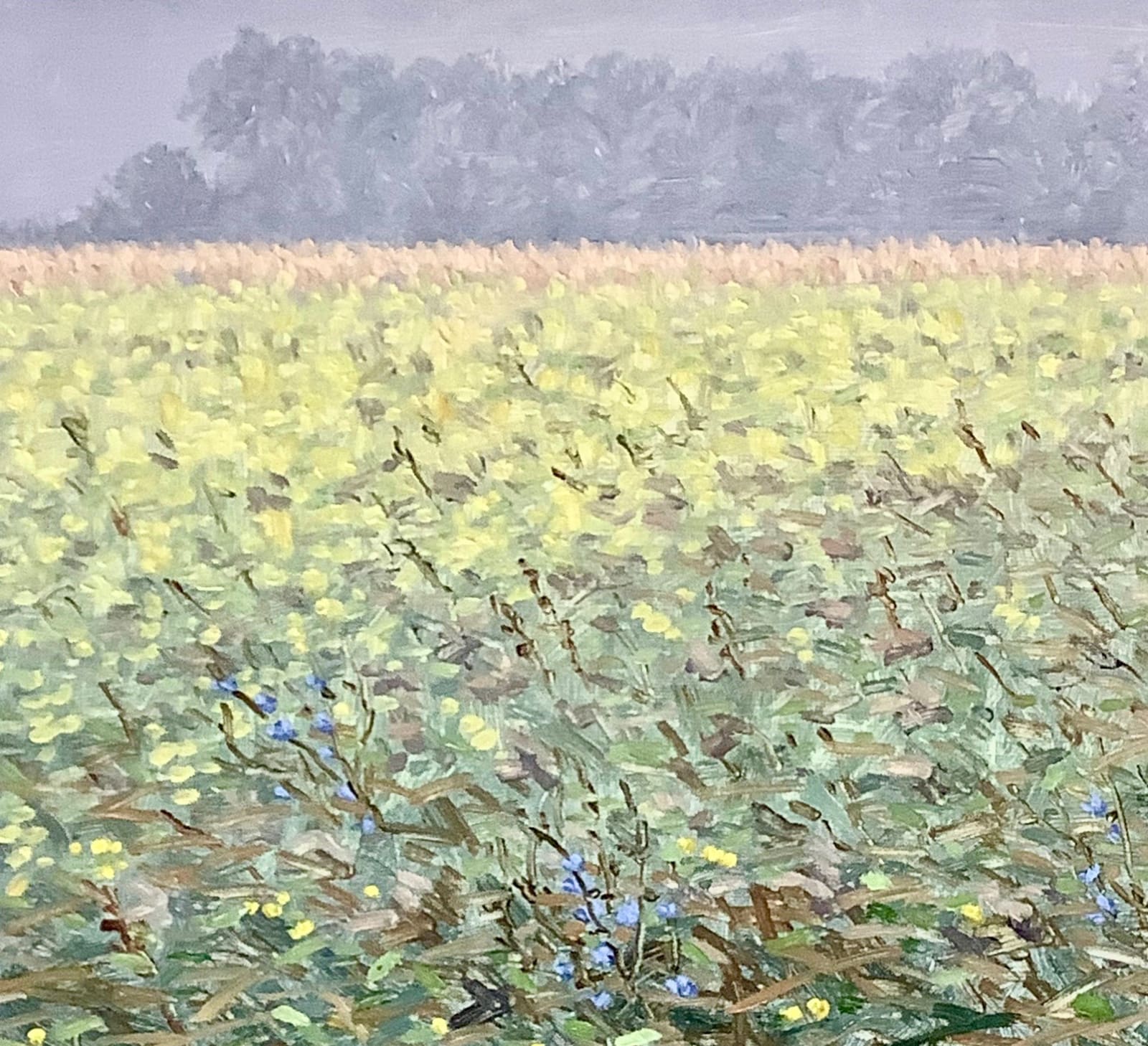 Thomas Sarrantonio, Translation, 2017