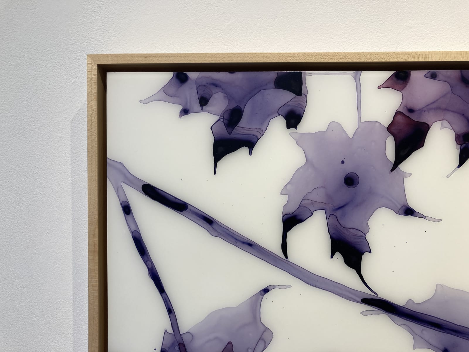 Jackie Battenfield, New Moon, 2011