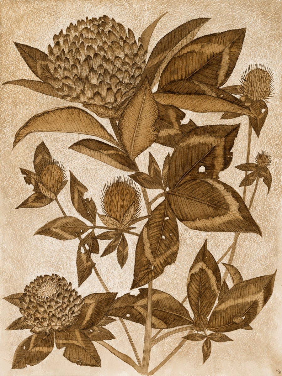 Margot Glass, Red Clover, 2024