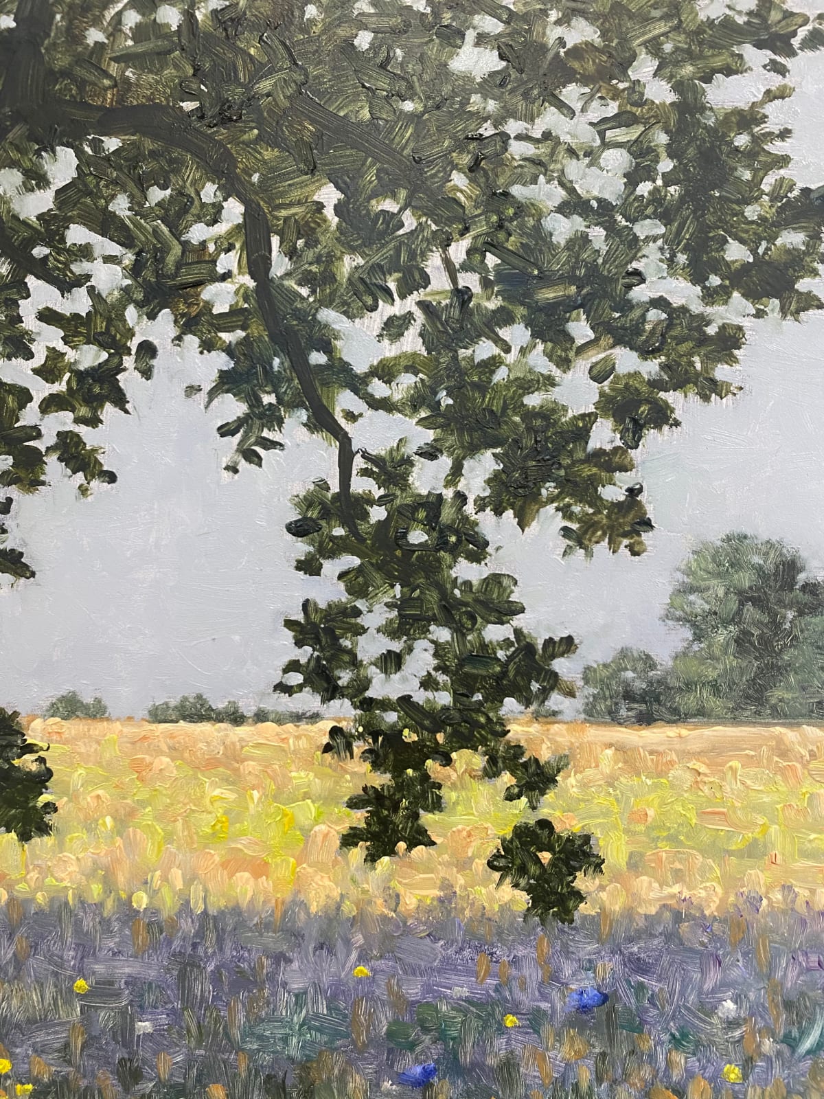 Thomas Sarrantonio, Field Painting July 1, 2022