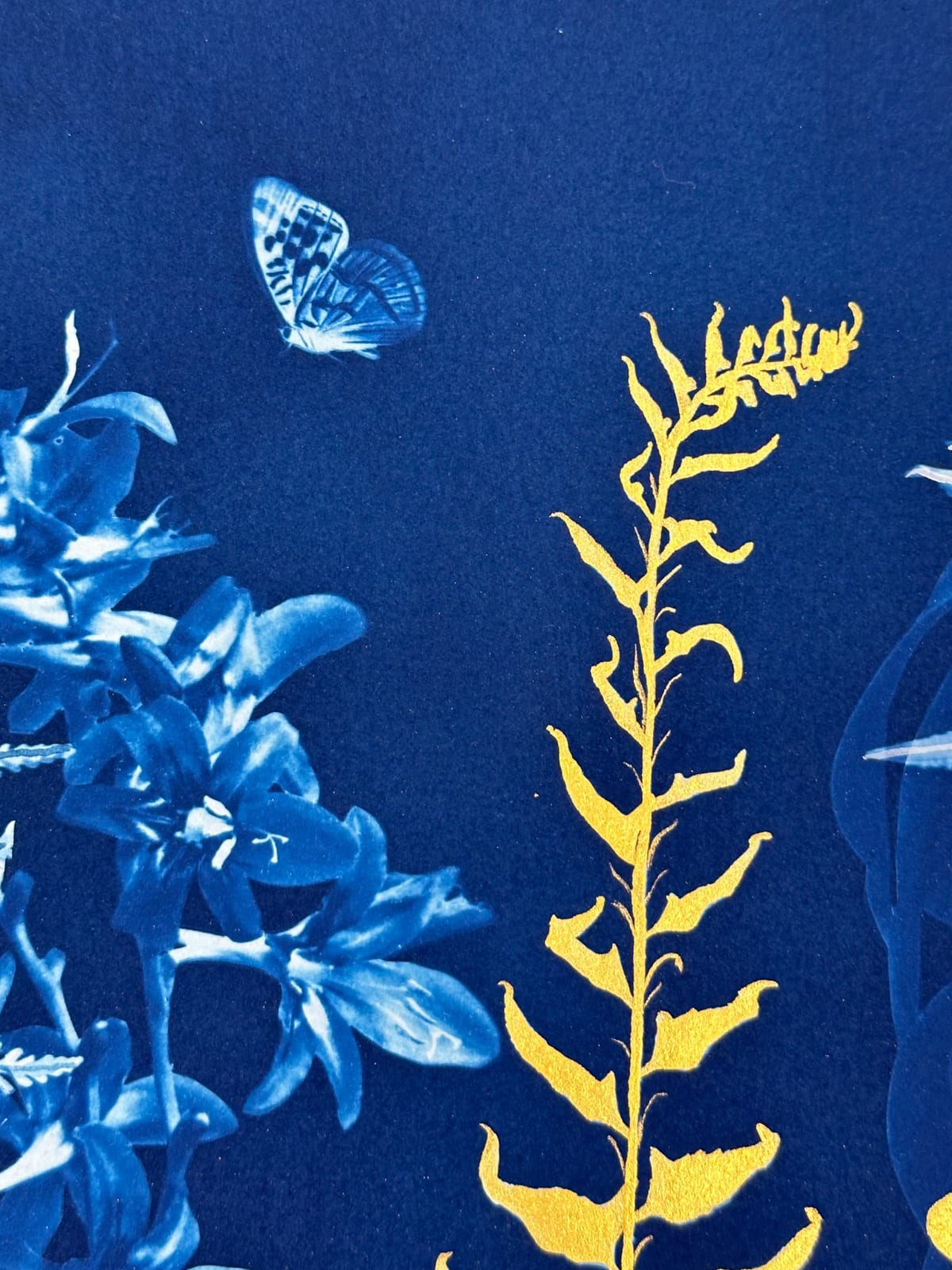 Julia Whitney Barnes, Gold Flora (Ferns, Montbretia, Forget-me-not, Pollinators, etc.), 2023-'24