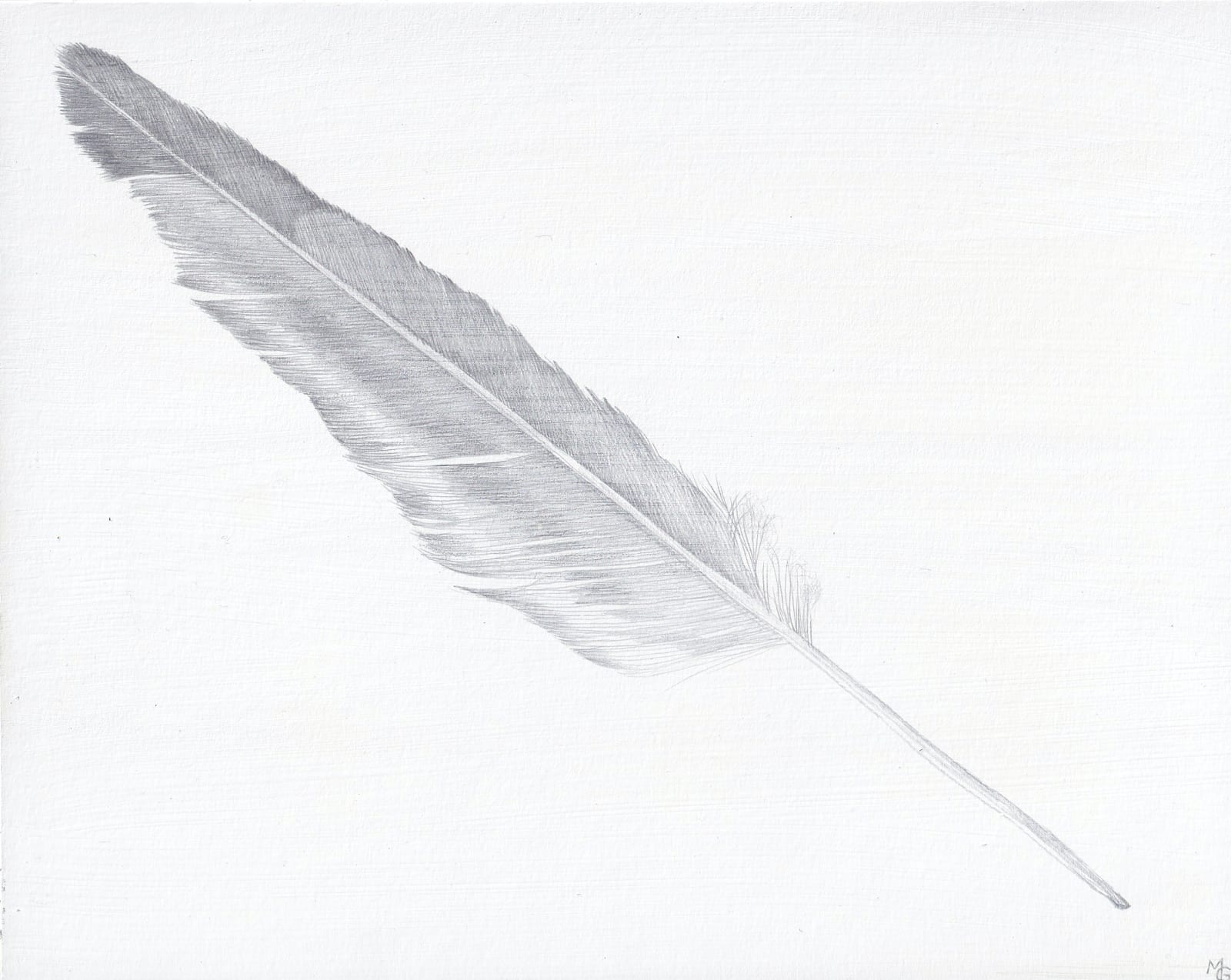 Margot Glass, Seagull Feather 1, 2020