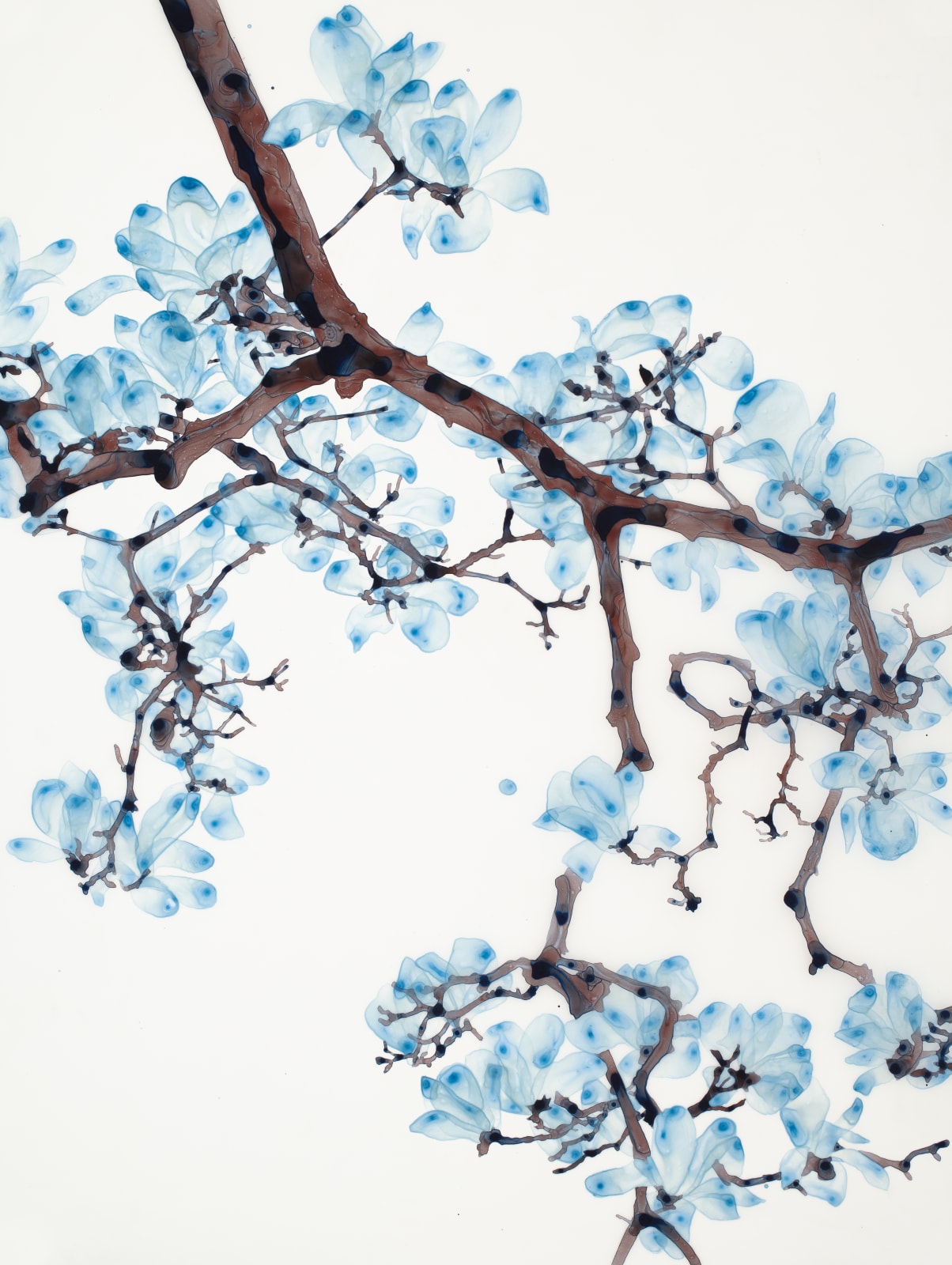 Jackie Battenfield, Two Blue cs1, 2010