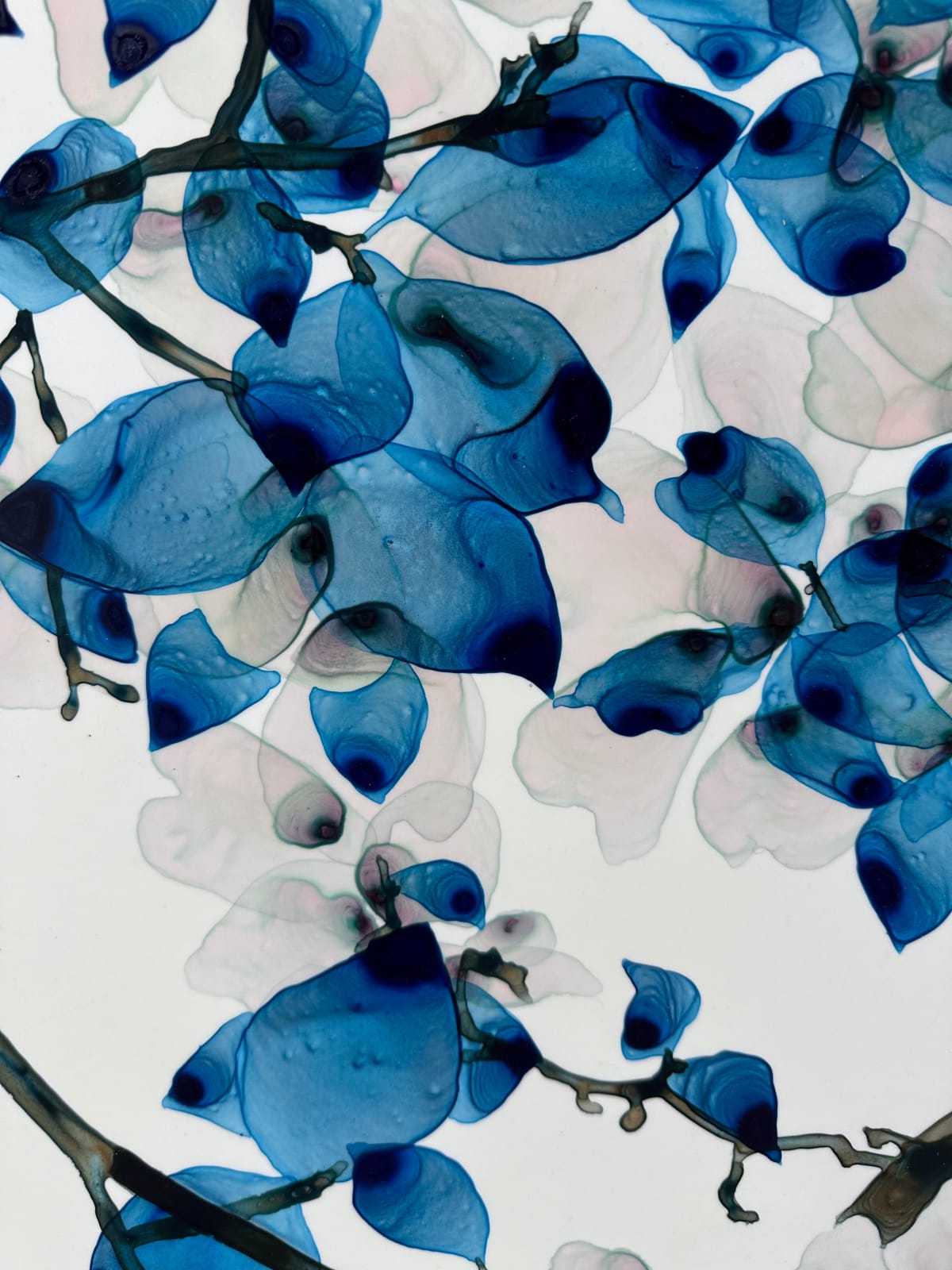 Jackie Battenfield, Sweet Ballad, 2024