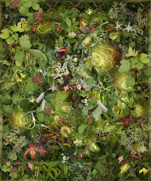 Lisa A. Frank, Nature's First Green is Gold..., 2018