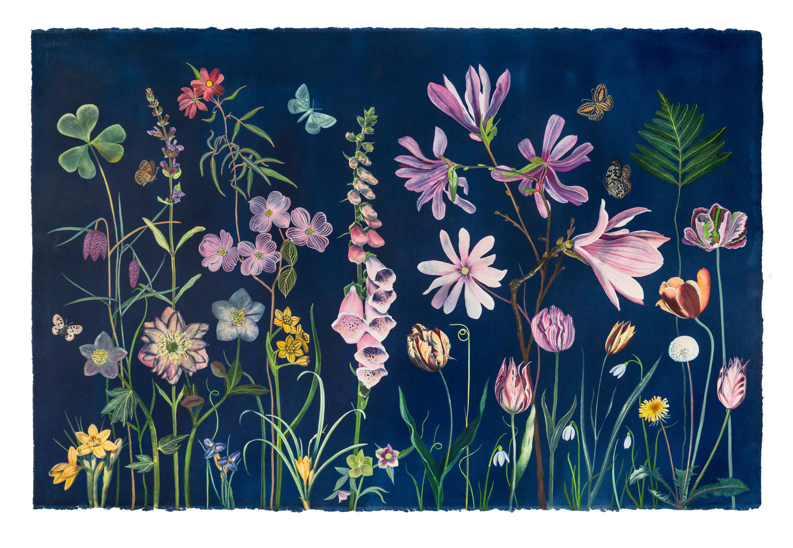 Julia Whitney Barnes, Picturesque Botany (Tulip, Magnolia, Dogwood, Foxglove, Crocus, Pollinators, etc.), 2025