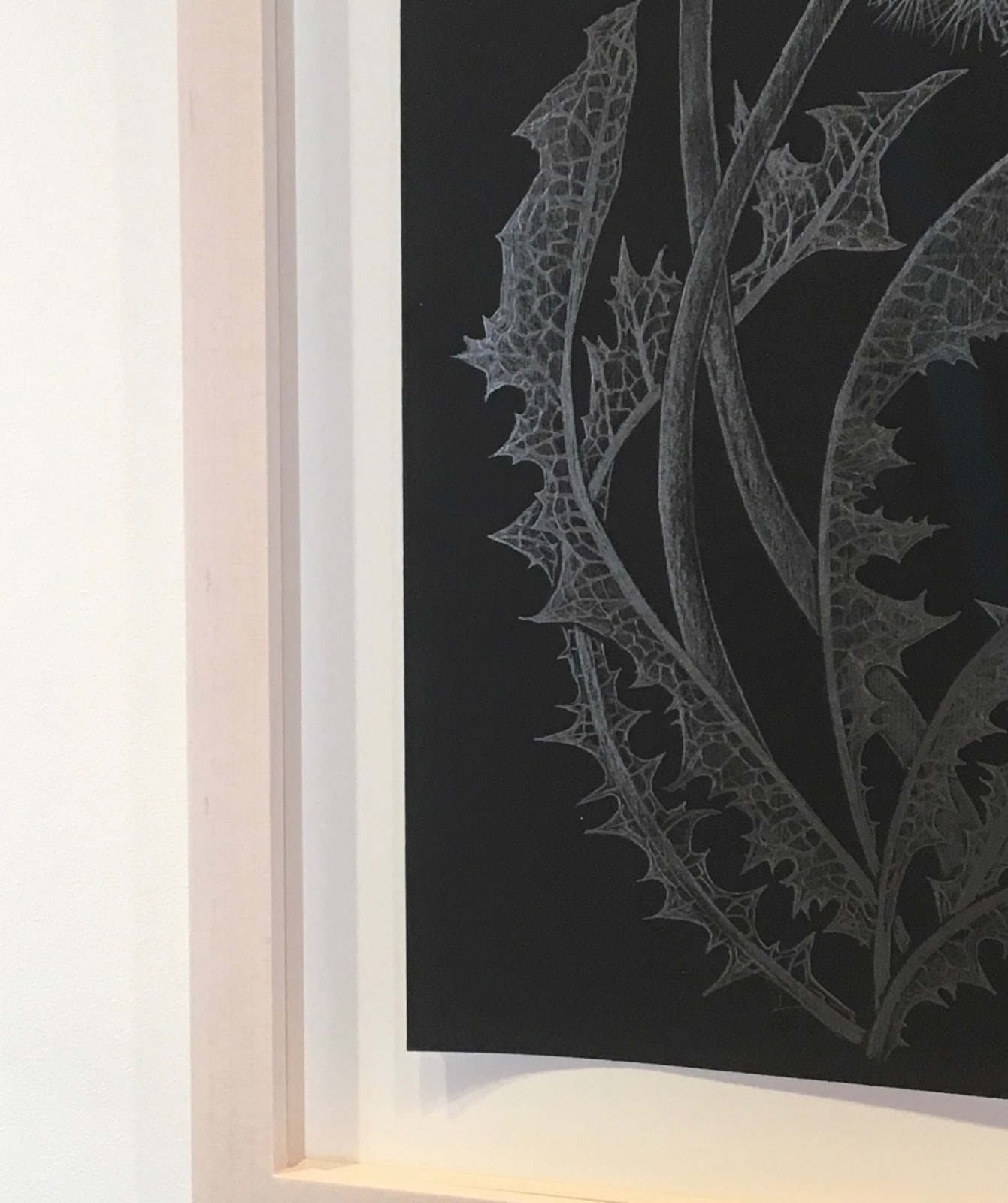 Margot Glass, Two Dandelions 1, 2019