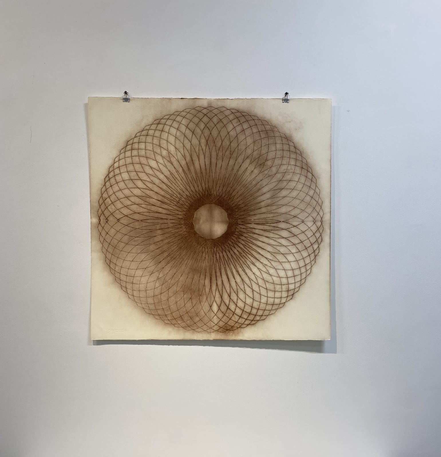 Mary Judge, Exotic Hex Series, 12/1, 2006