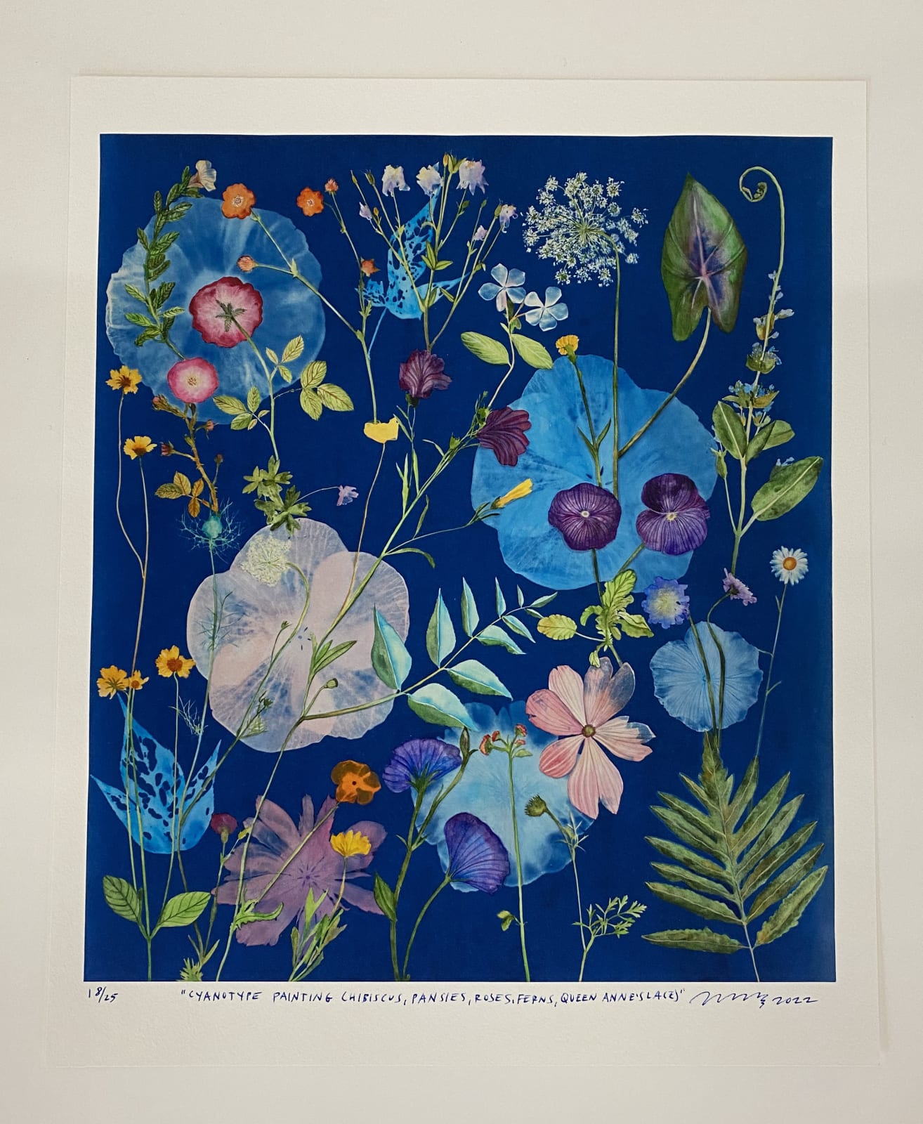 Julia Whitney Barnes, Cyanotype Print (Hibiscus, Pansies, Roses, Ferns, Queen Anne's Lace), 2022
