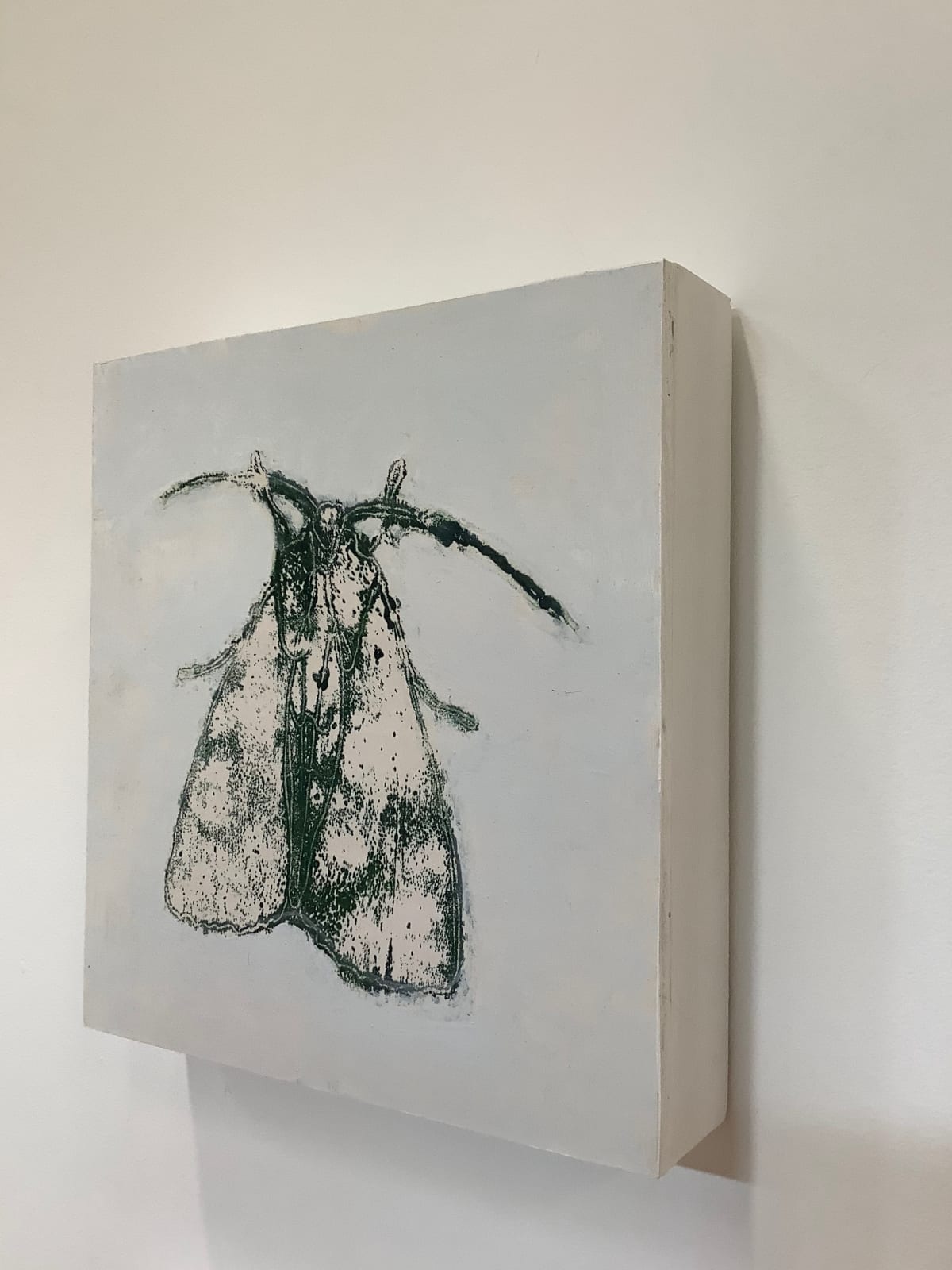 David Konigsberg, Moth #9, 2020