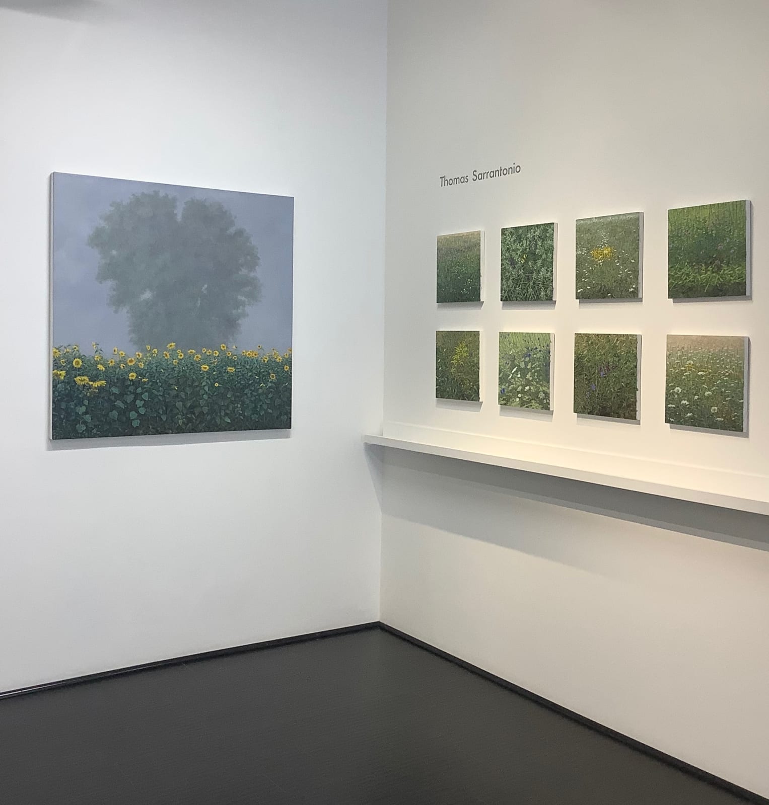 Thomas Sarrantonio, Visibility, 2019