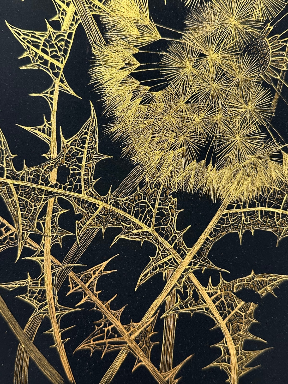 Margot Glass, Dandelions with Bud 1, 2024