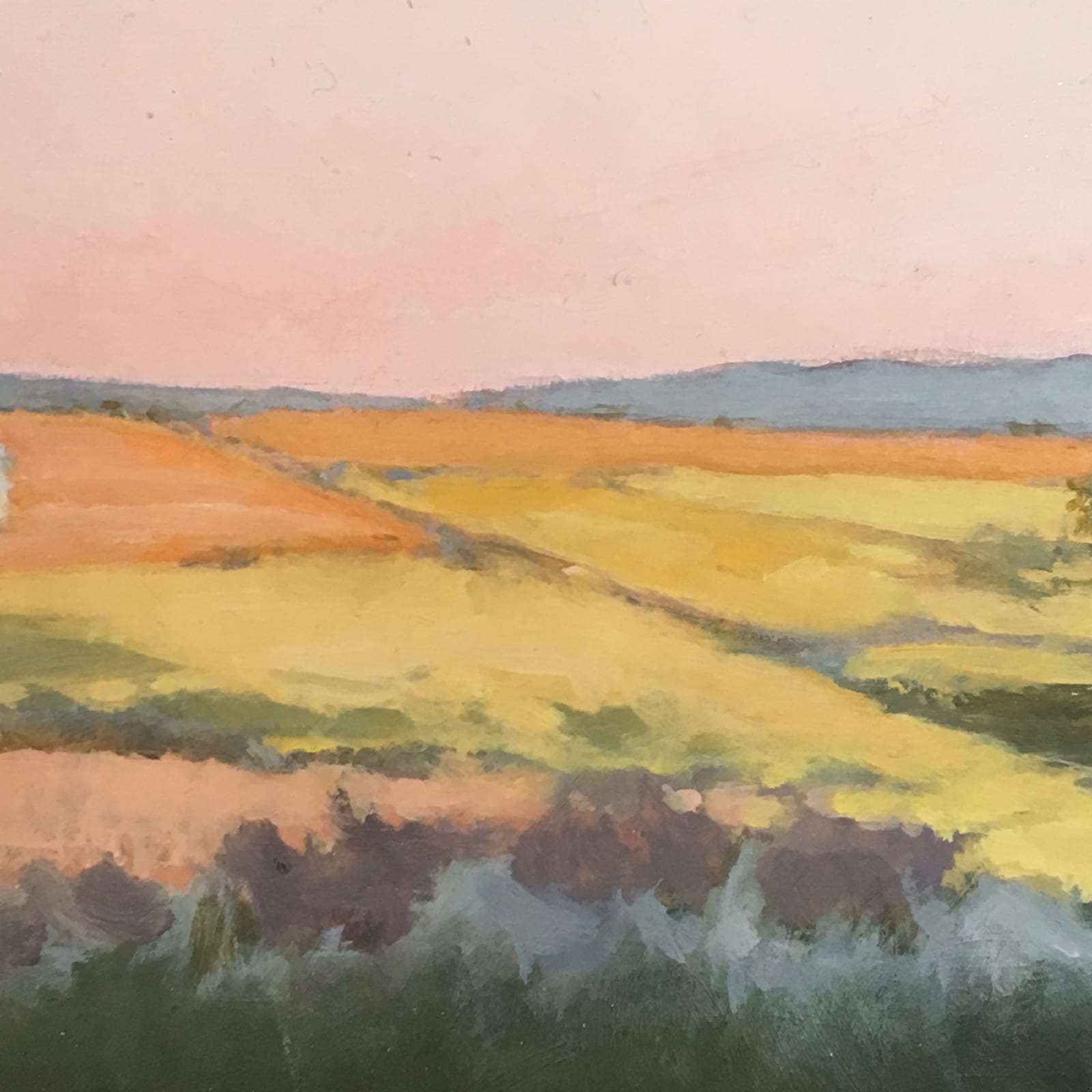 Sally Maca, Summer Fields, 2019