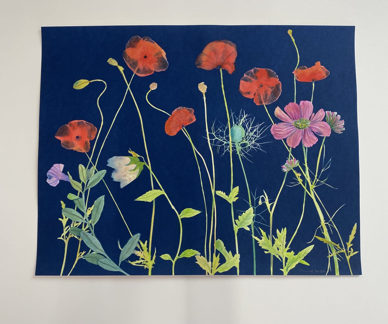 Julia Whitney Barnes, Cyanotype Painting (Poppies 2), 2020