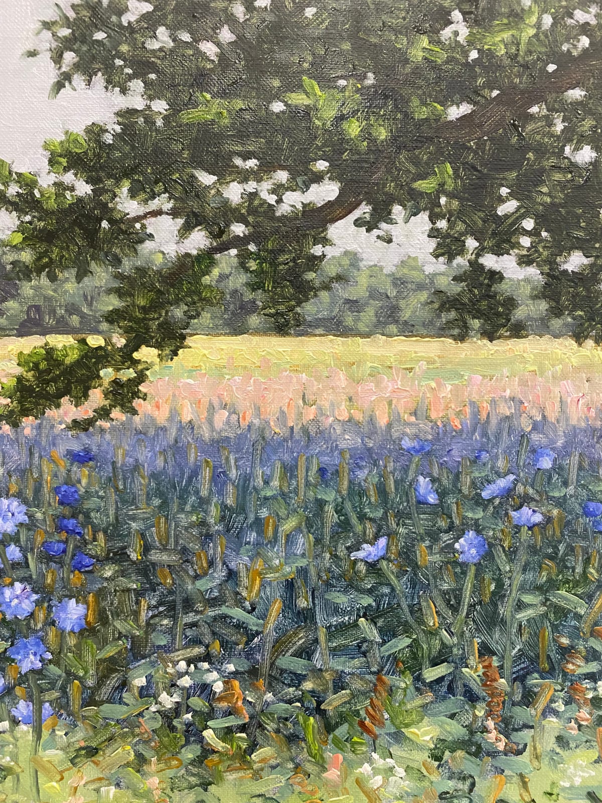 Thomas Sarrantonio, Field Painting July 8, 2022