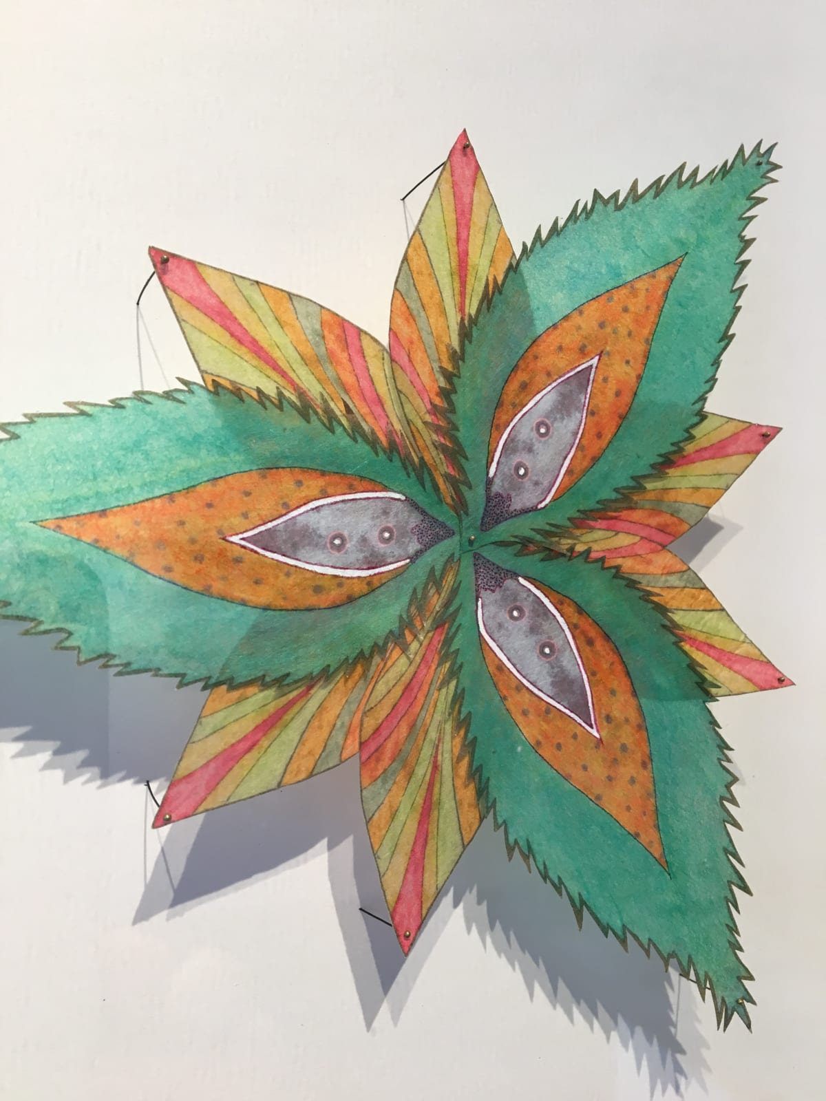Jill Parisi, Spinney Stars, 2017