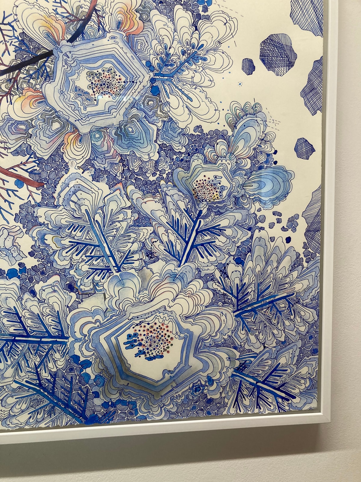 Sarah Morejohn, Snow Flora, Falling, 2020