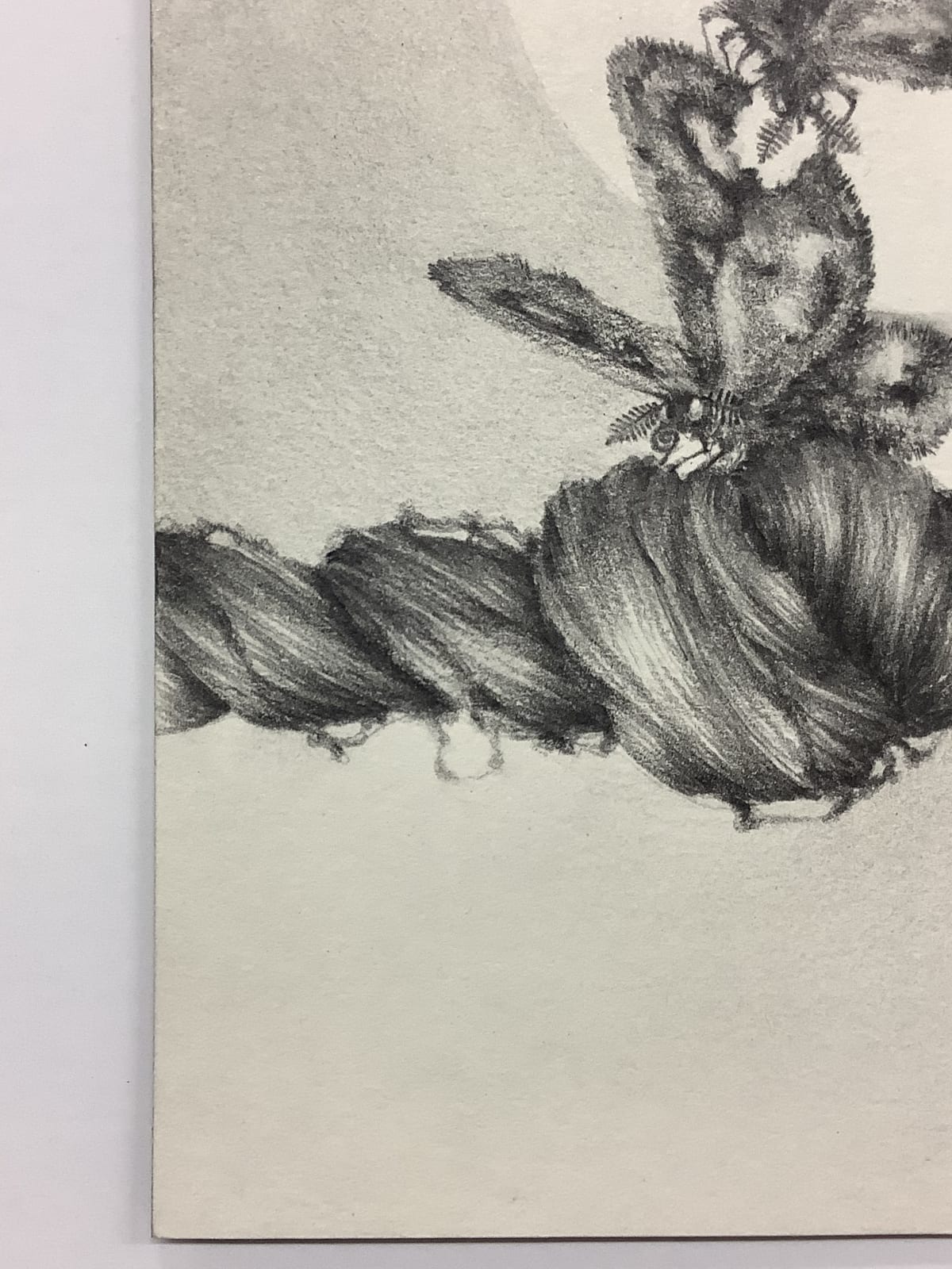 Francine Fox, Chapter Fine Focus, 2012