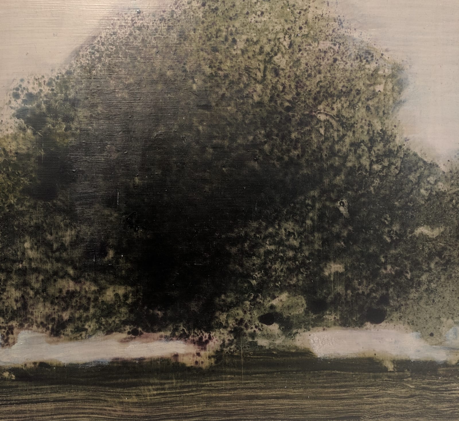 David Konigsberg, Arboreal #1, #2, #3 (triptych), 2018