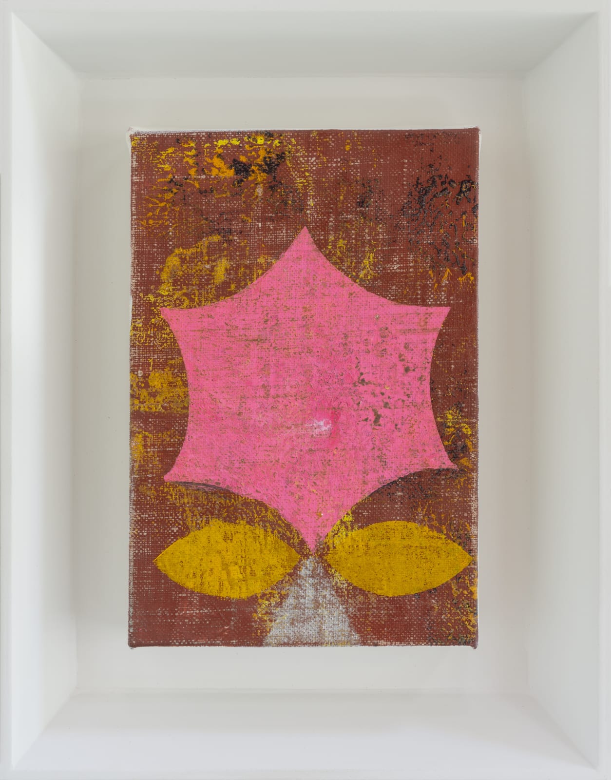 Mary Judge, Sea Flower Little Pink, 2020
