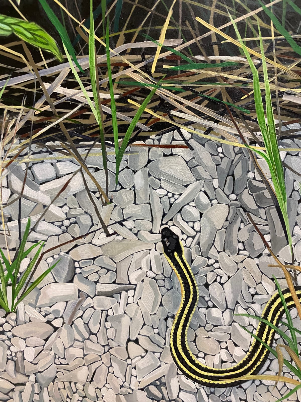 Amanda Acker, Slithering In, 2023