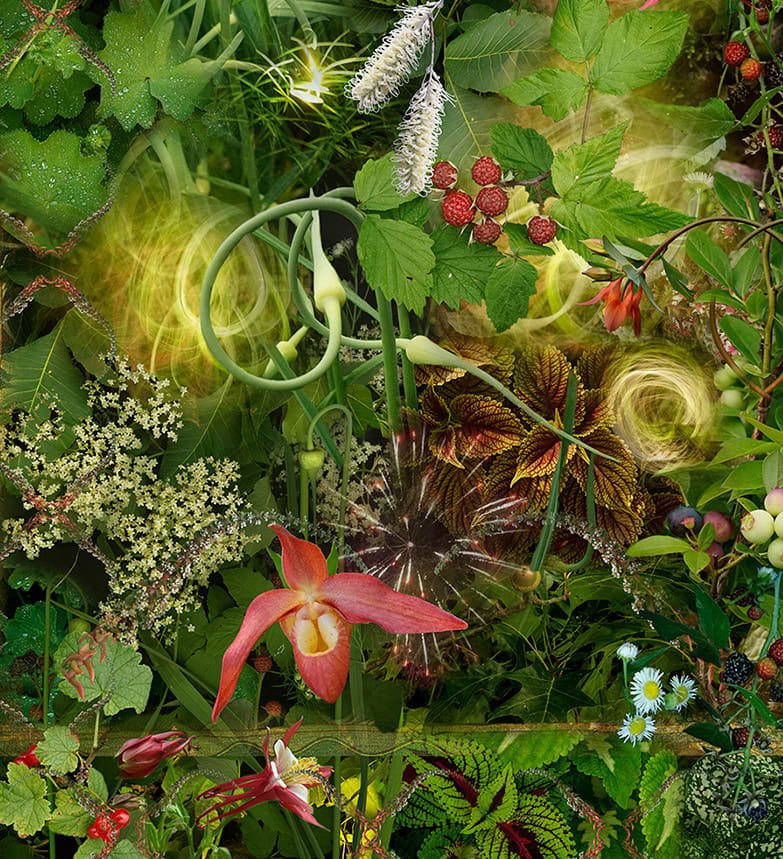 Lisa A. Frank, Nature's First Green is Gold..., 2018