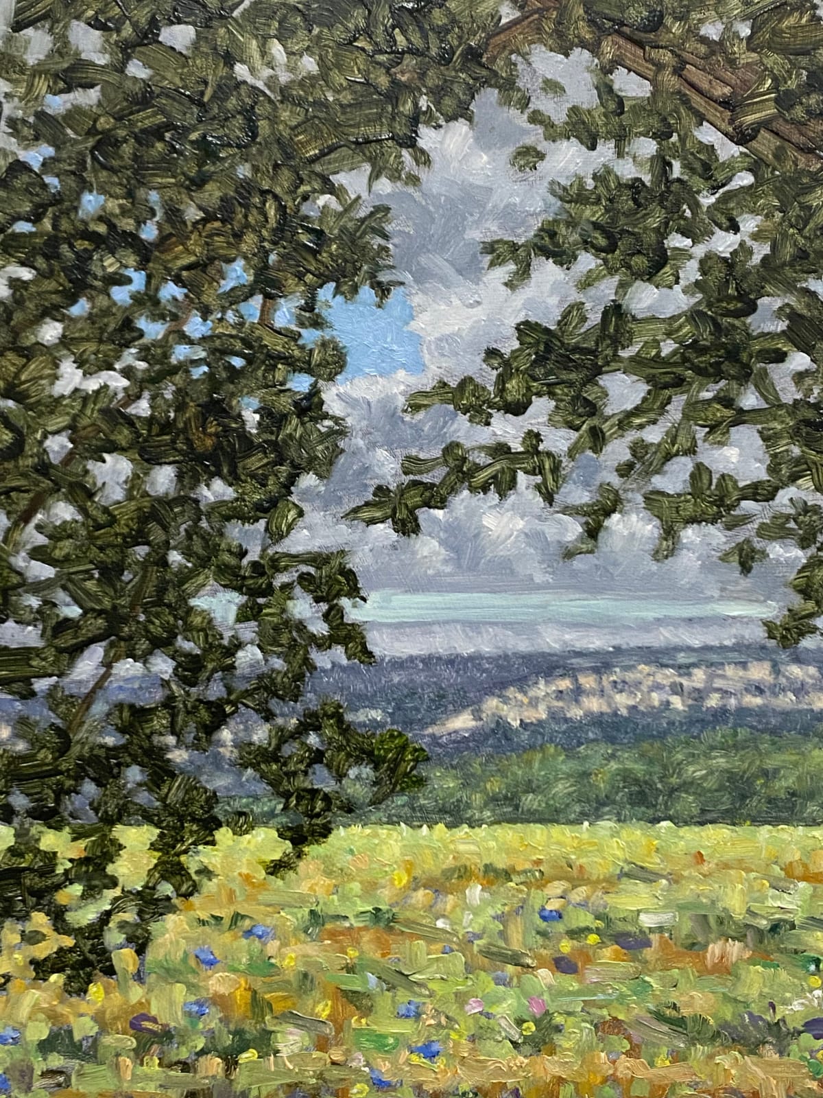 Thomas Sarrantonio, Field Painting July 19, 2021