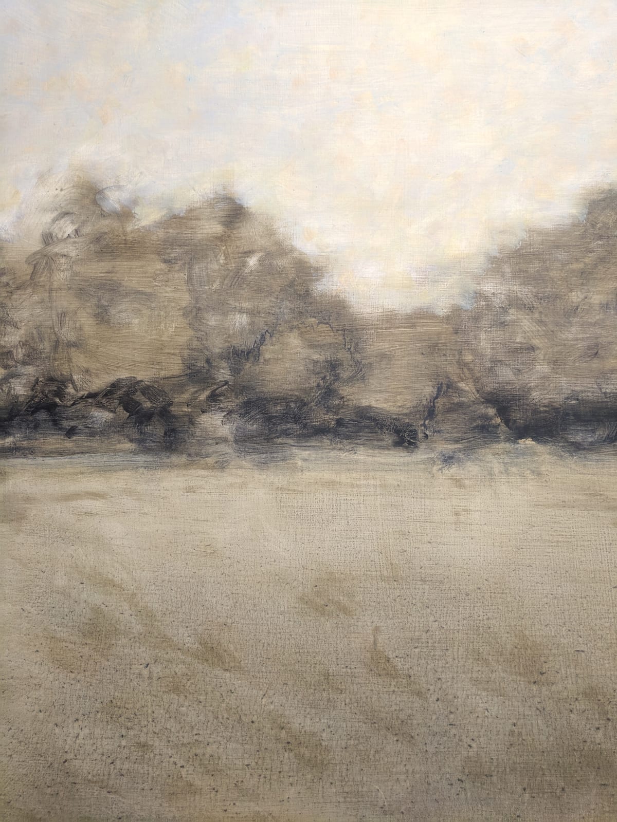 David Konigsberg, Old Orchard, 2019