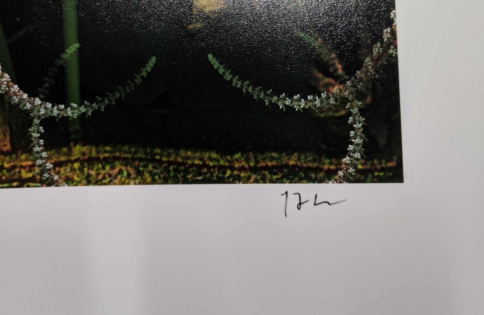 Lisa A. Frank, Nature's First Green is Gold..., 2018