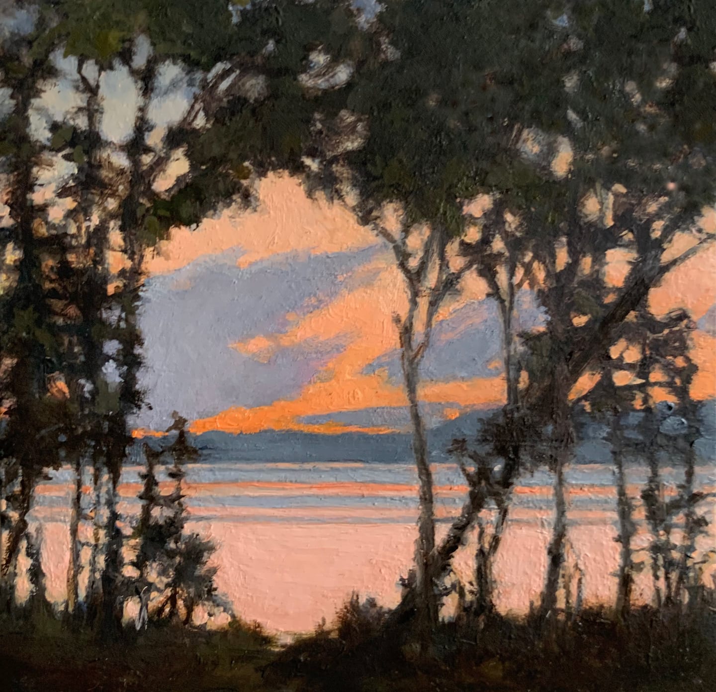 Sally Maca, Canopy, 2019