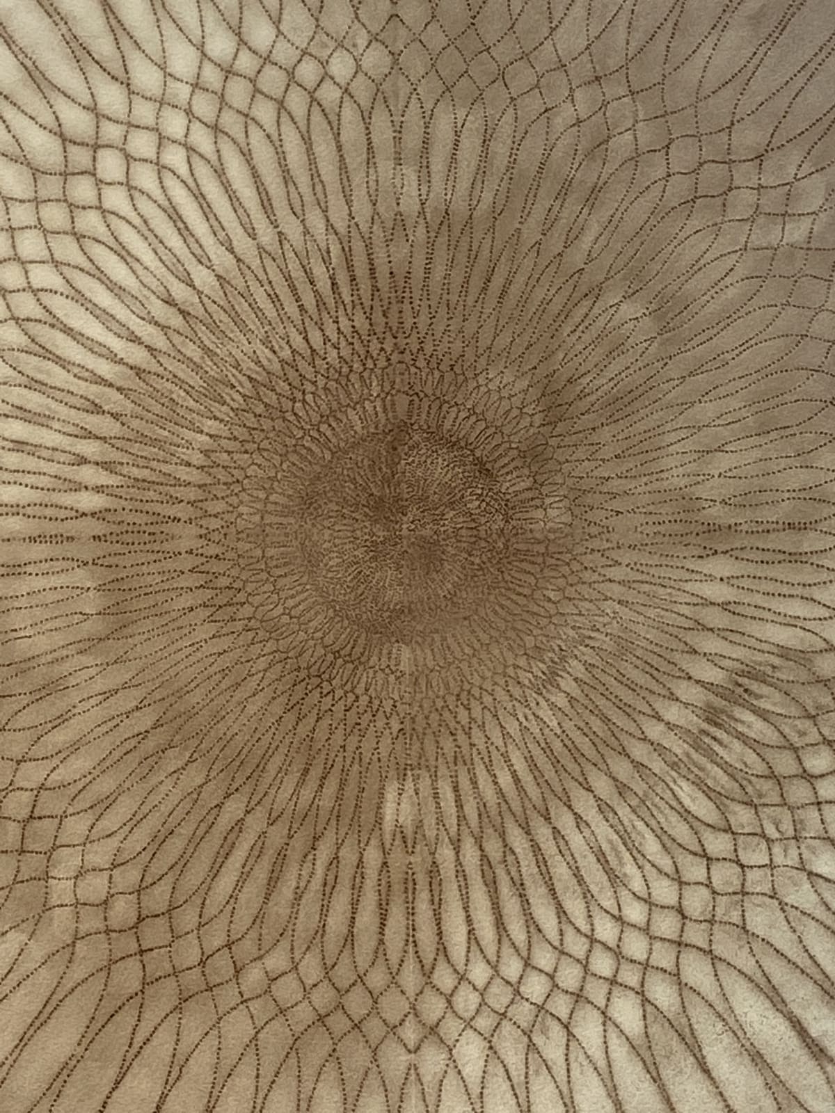 Mary Judge, Circle Series 30/1, 2006