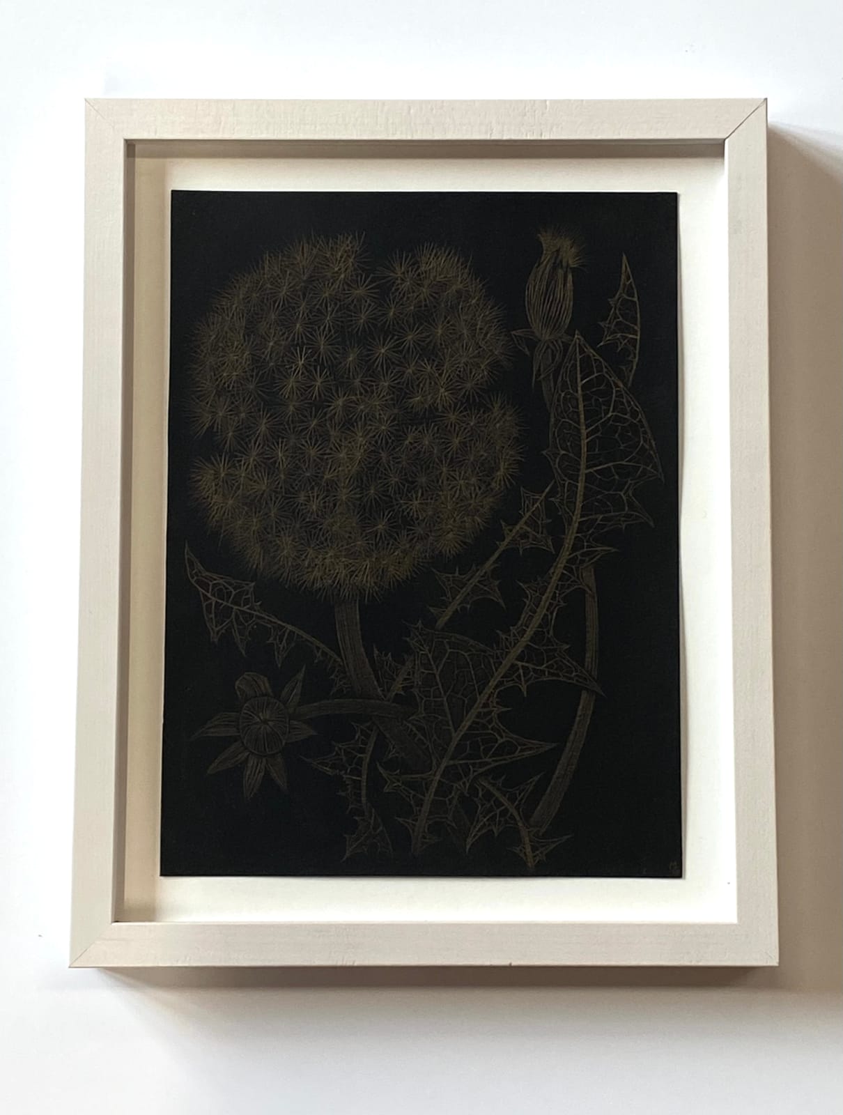 Margot Glass, Dandelion with Two Buds, 2022